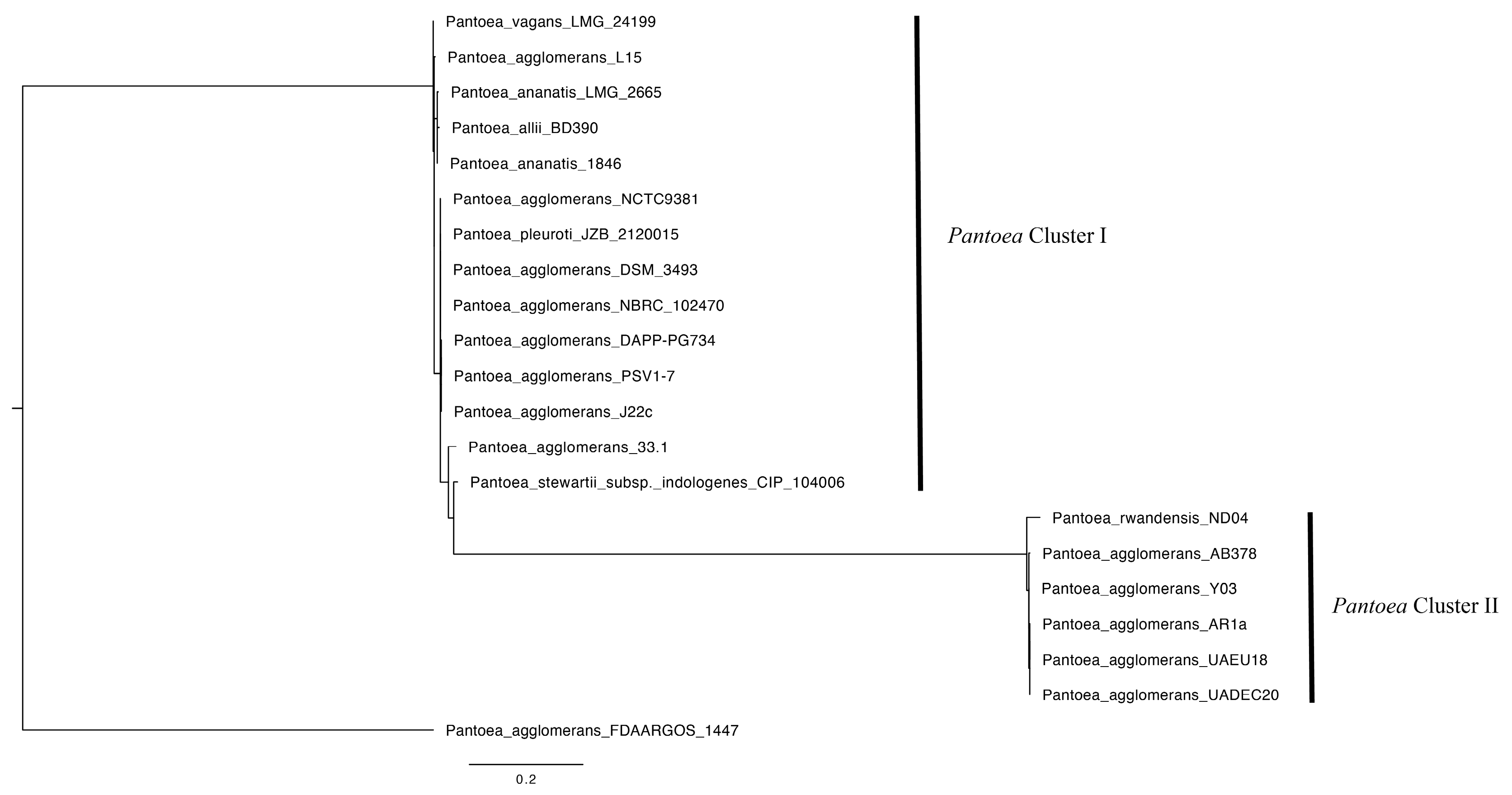 Cimb 47 00056 g001 Cimb 47 00056 g001