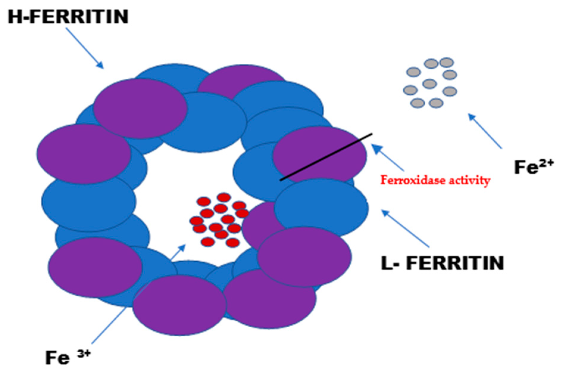 Cimb 47 00060 g001 Cimb 47 00060 g001