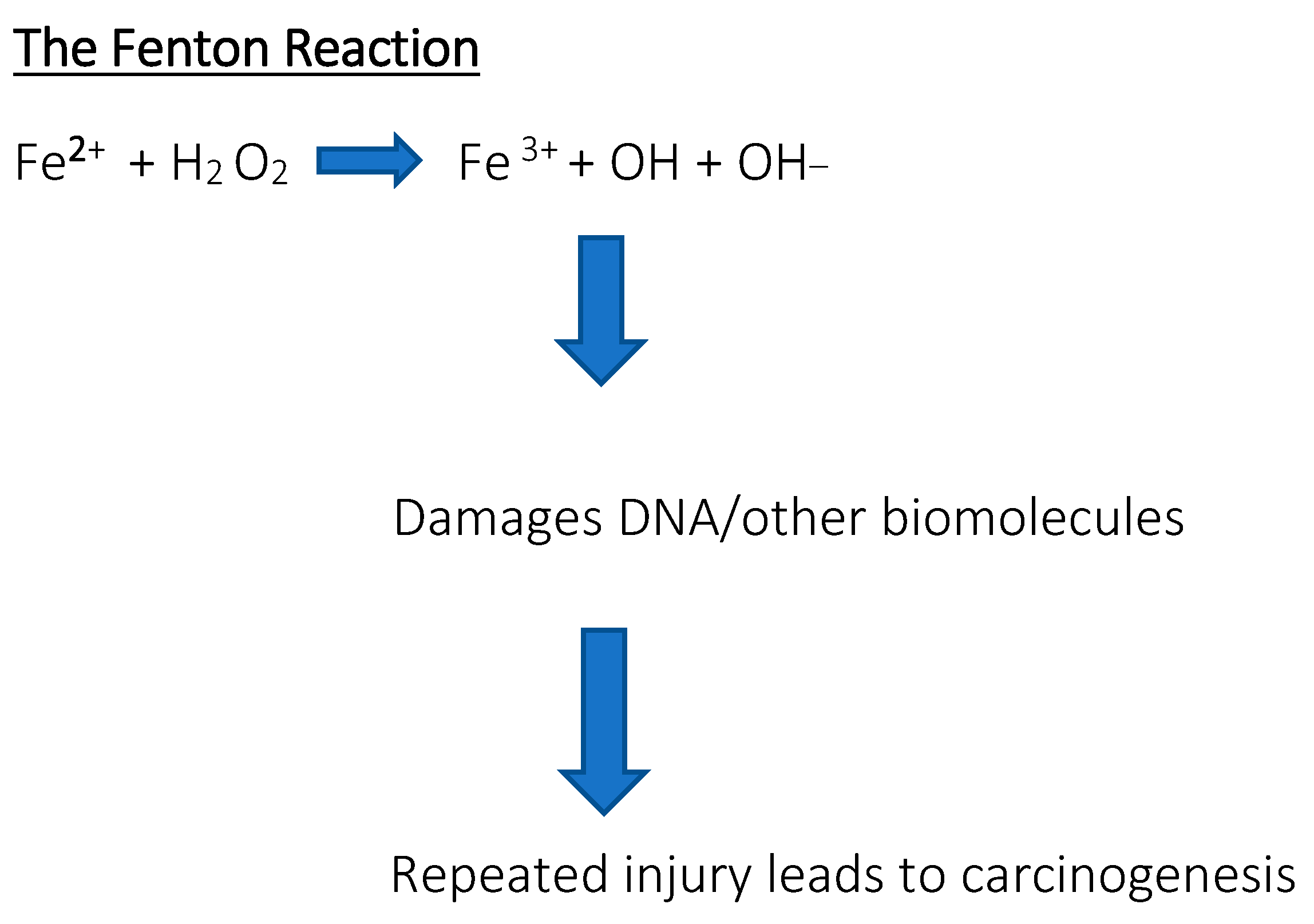 Cimb 47 00060 g002 Cimb 47 00060 g002
