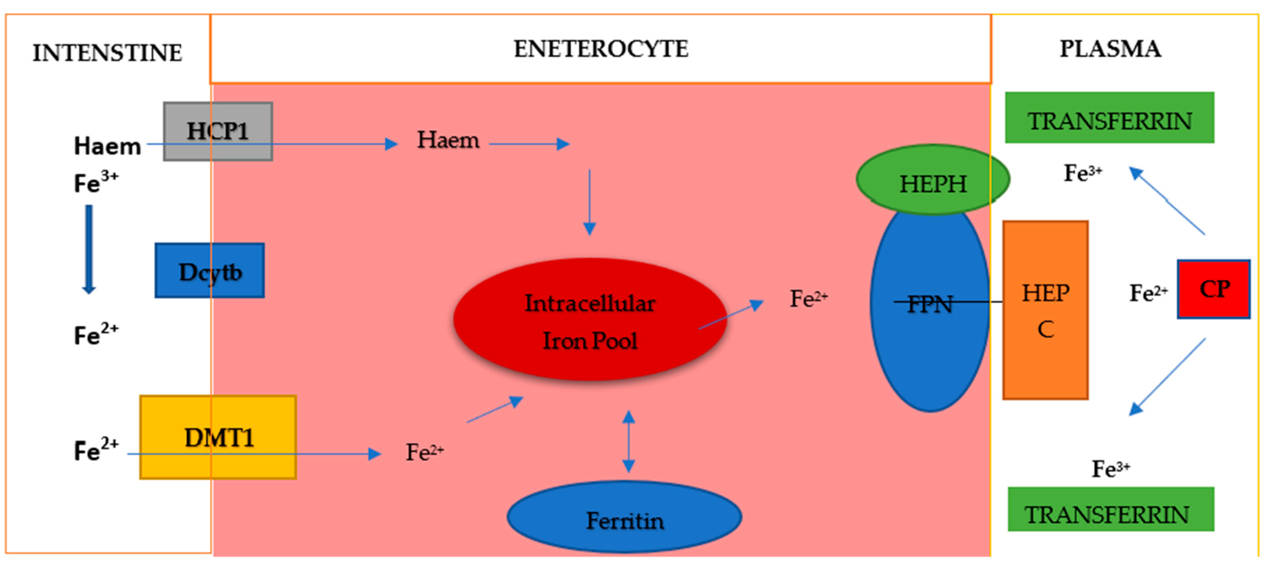 Cimb 47 00060 g003 Cimb 47 00060 g003