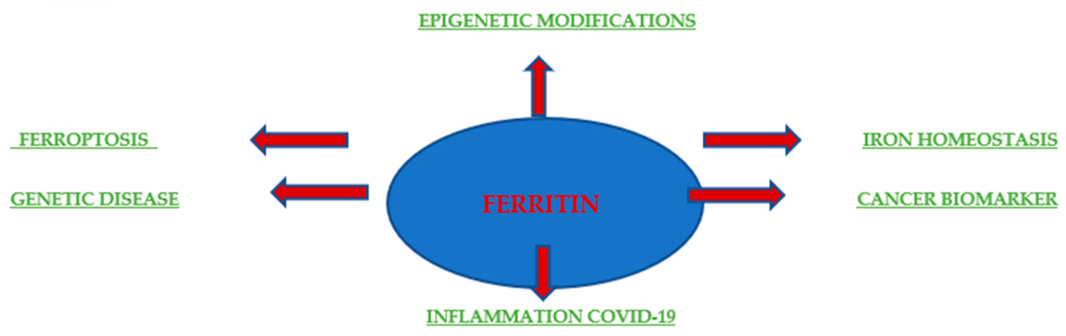 Cimb 47 00060 g004 Cimb 47 00060 g004
