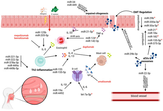 GO 　no2 Fabrication of 3D porous network structure chitosan/thiourea