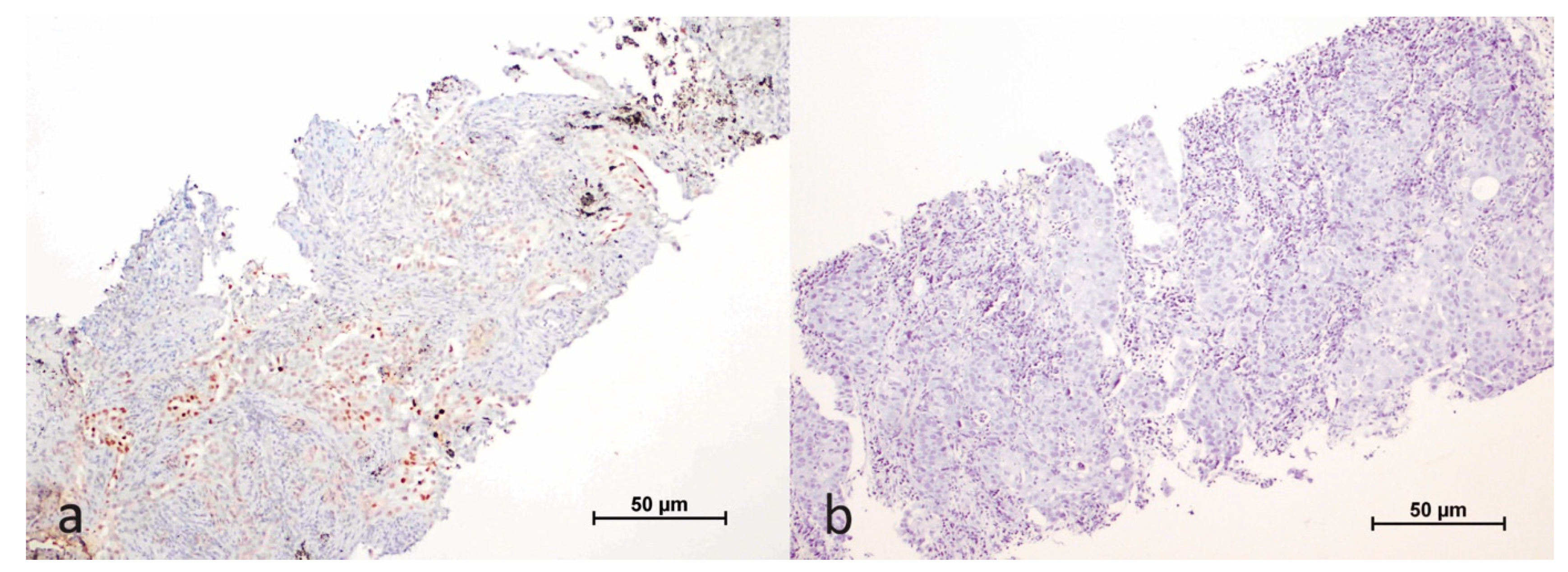Cimb 47 00121 g001 Cimb 47 00121 g001