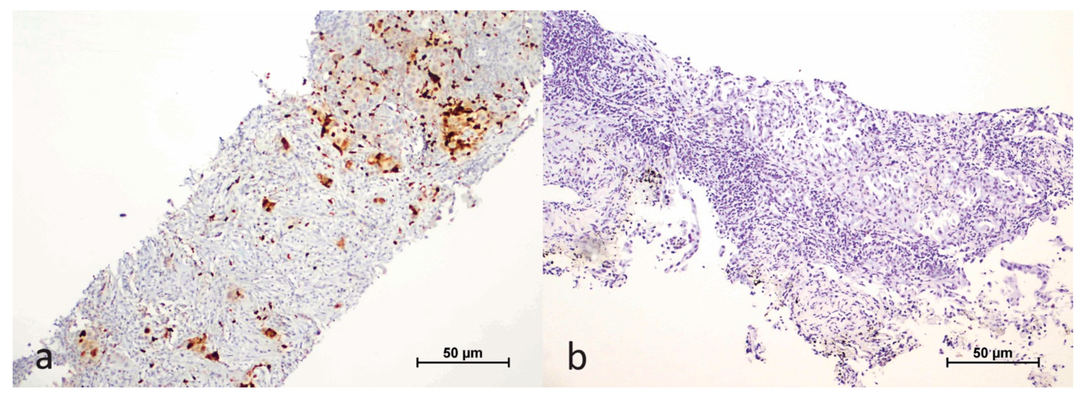 Cimb 47 00121 g002 Cimb 47 00121 g002