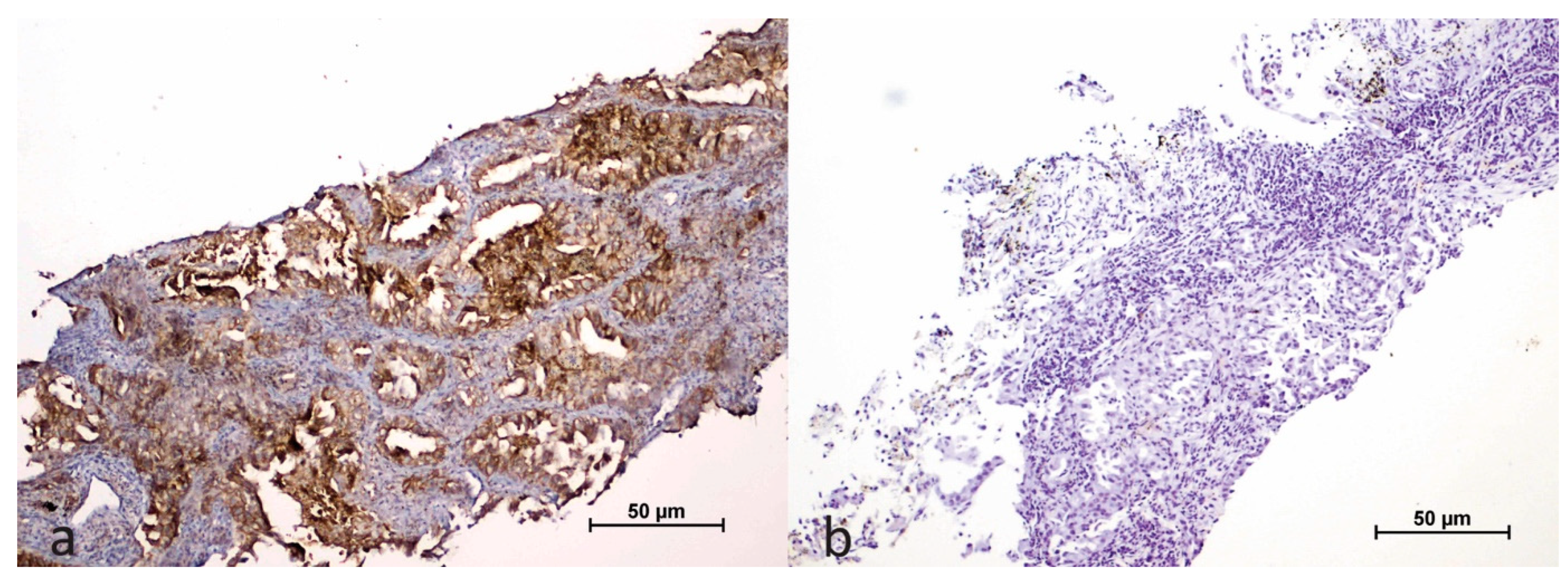 Cimb 47 00121 g003 Cimb 47 00121 g003