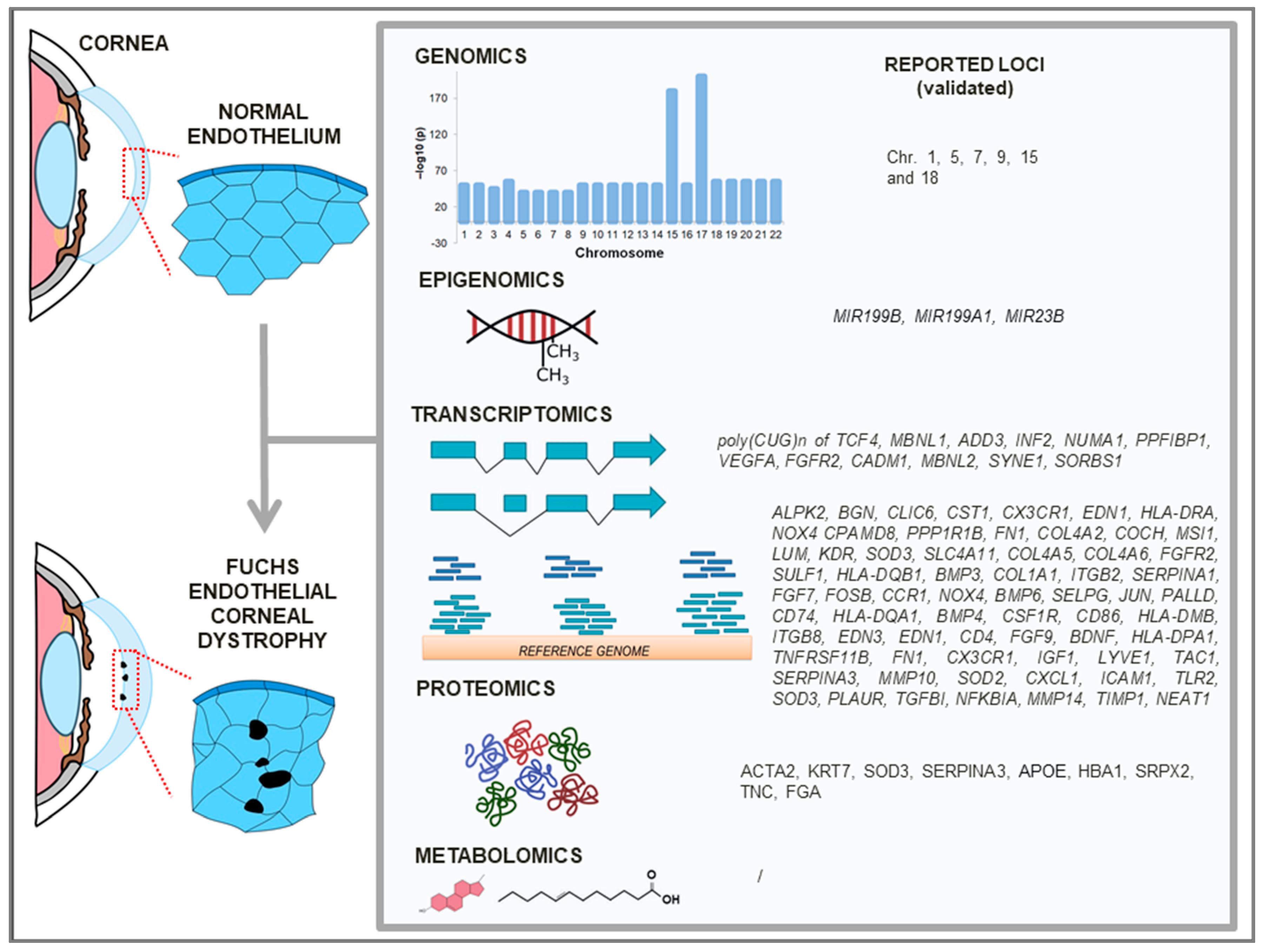 Cimb 47 00135 g003 Cimb 47 00135 g003