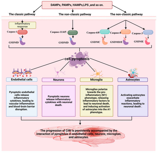 MA  12598_2024_2649_Figa_HTML.png