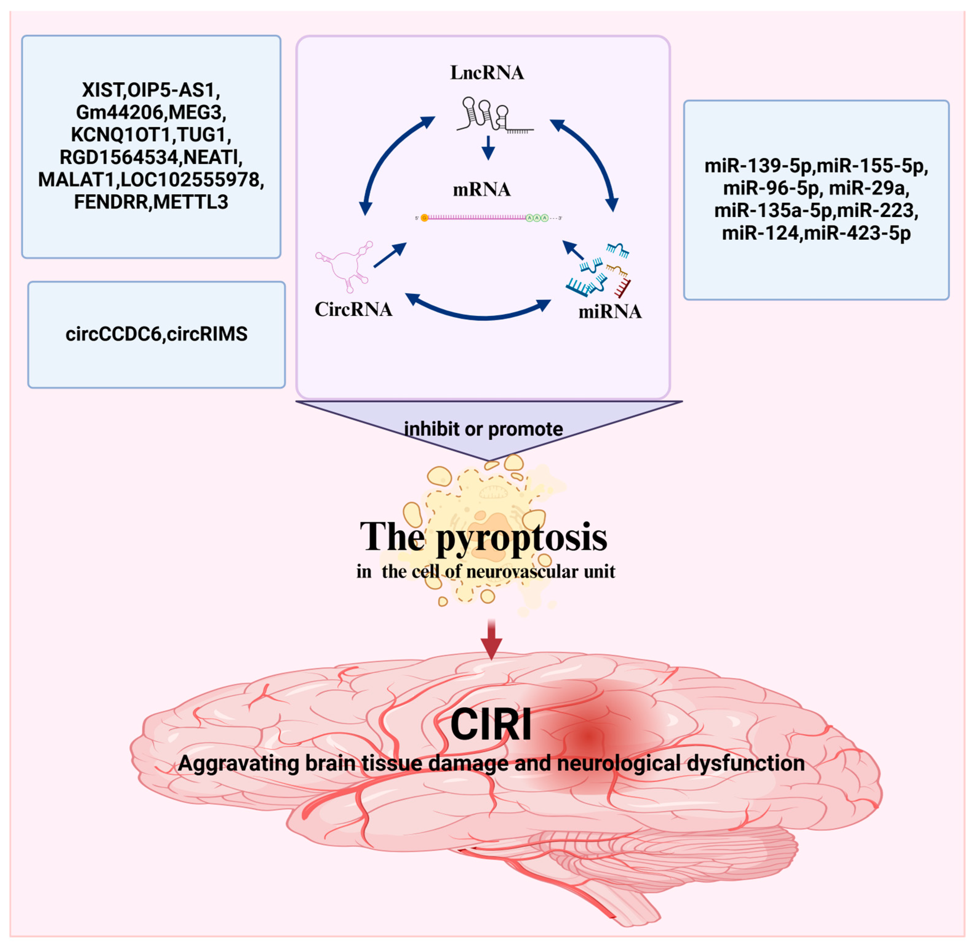 TTU Fucking Awesome Cerberus Moto Jersey T-Shirt | PN26471 | SVD USA