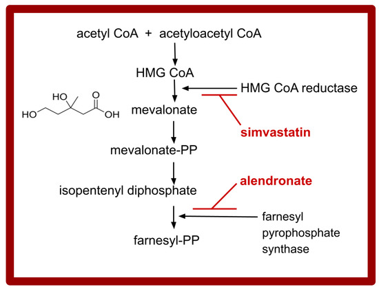 Potential Benefits of Adding Alendronate, Celecoxib