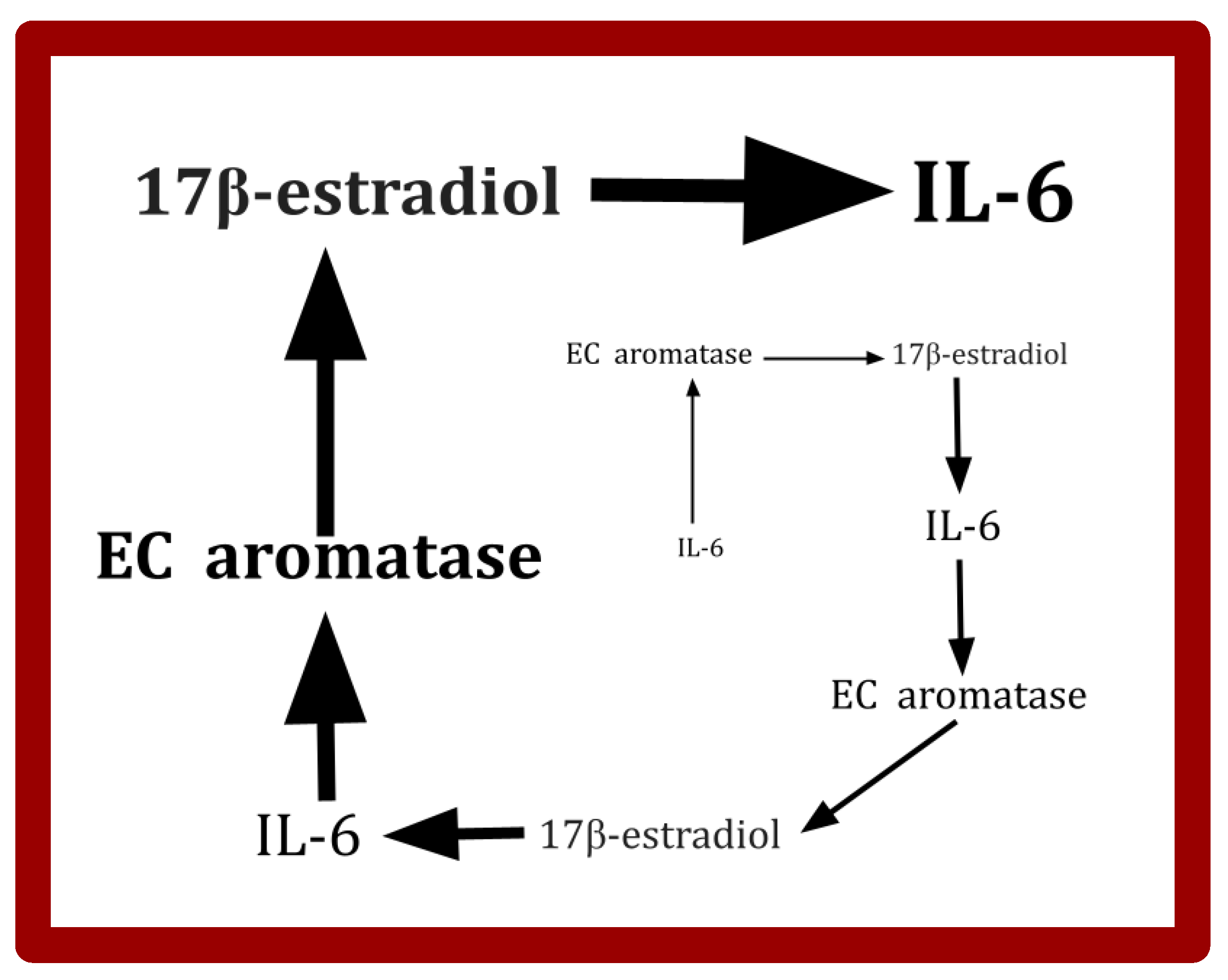 note Mitophagy suppresses motor neuron necroptotic mitochondrial