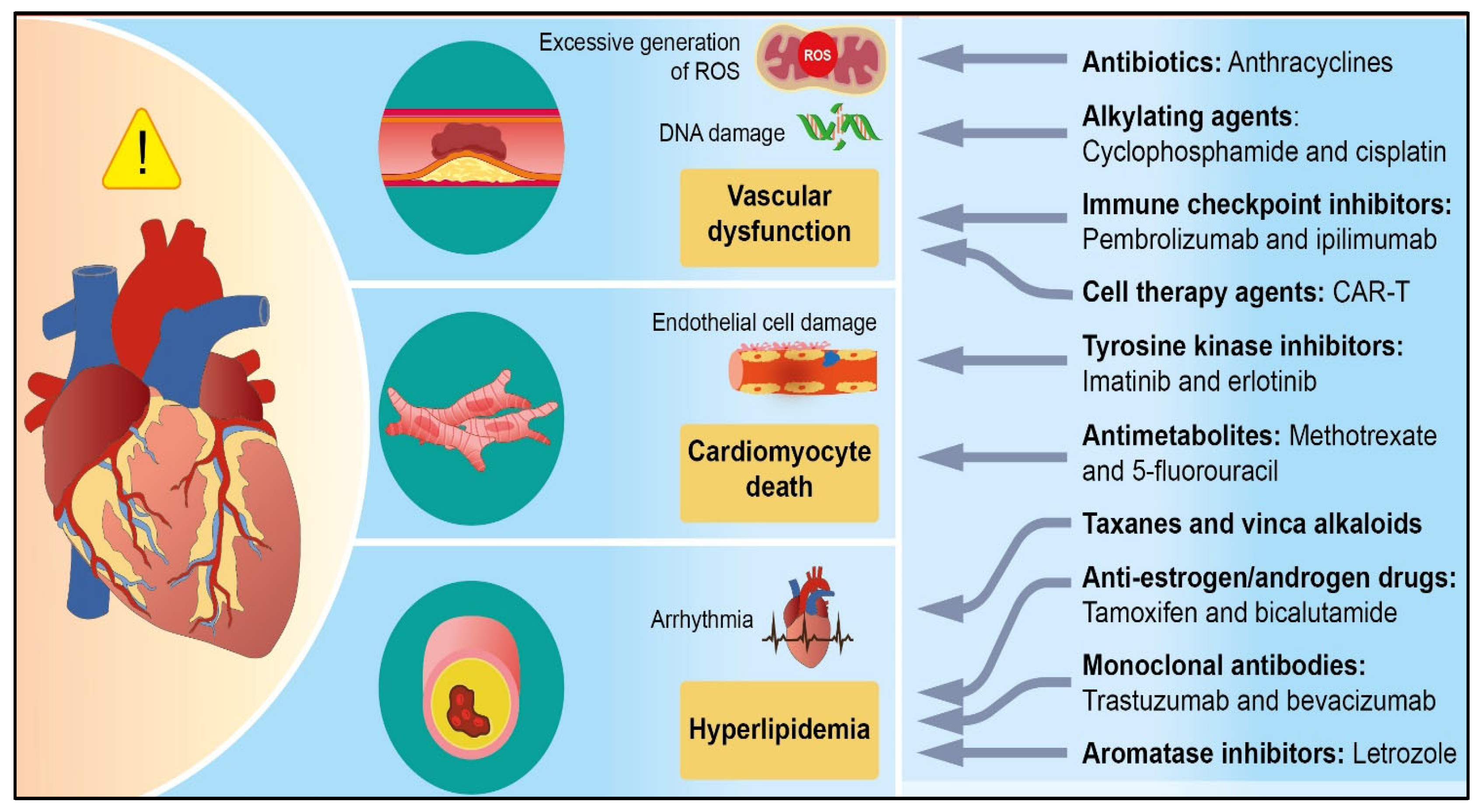 Cimb 47 00176 g001 Cimb 47 00176 g001
