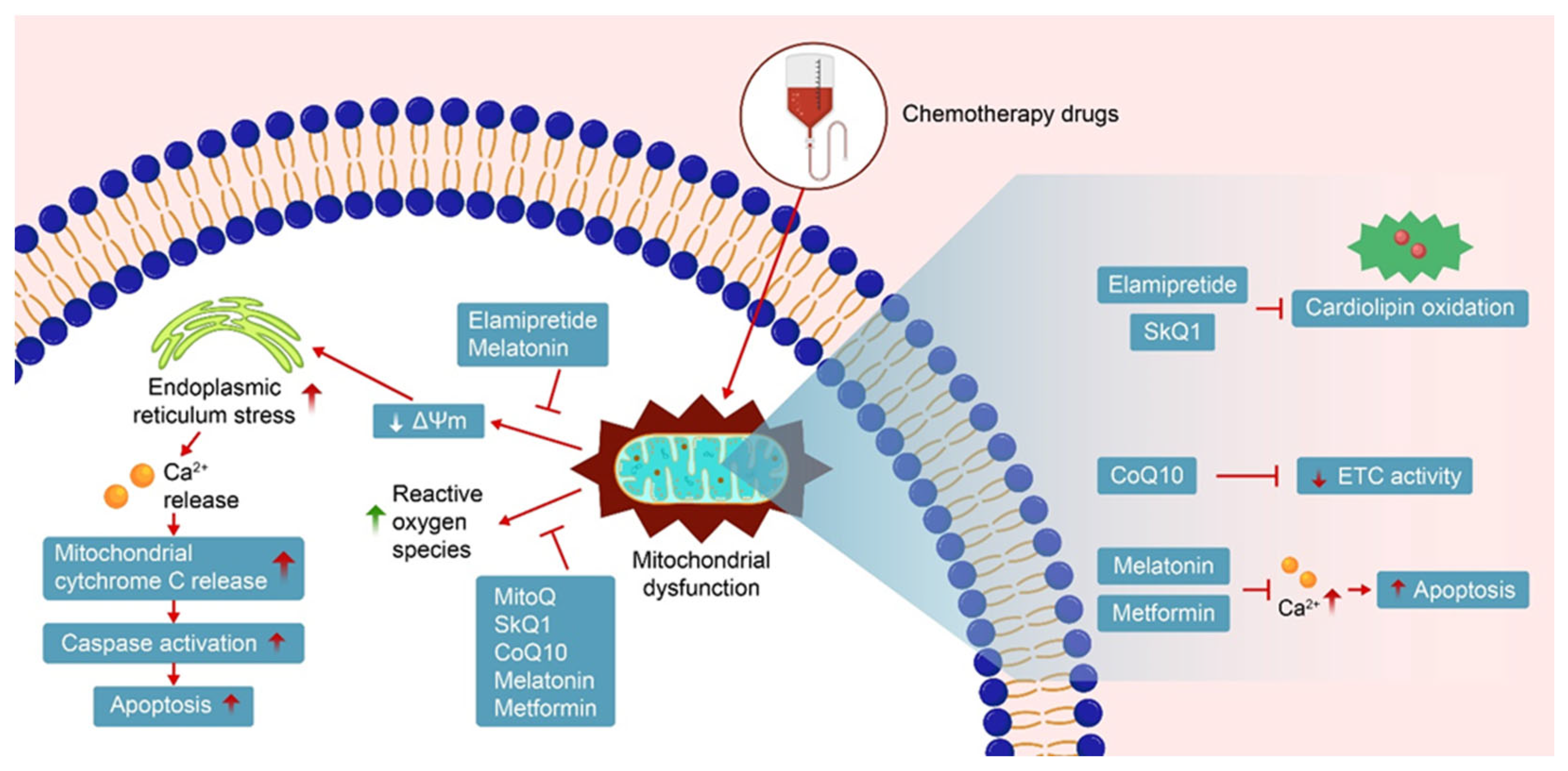 Cimb 47 00176 g003 Cimb 47 00176 g003
