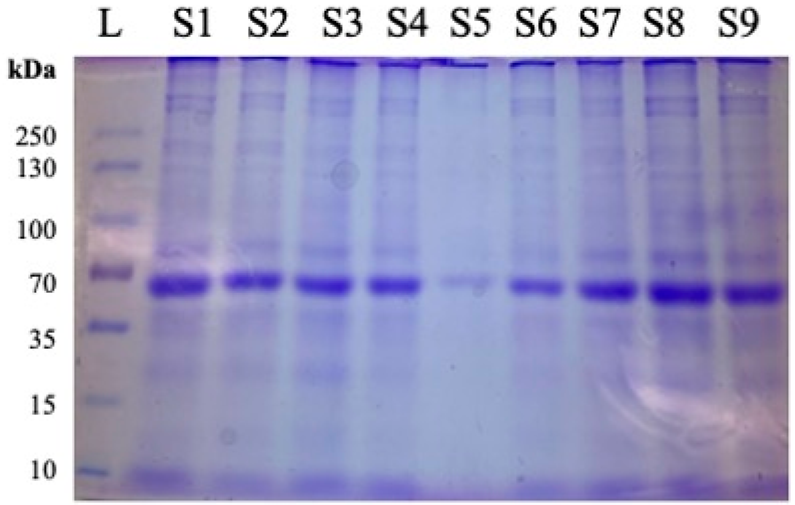 Cimb 47 00218 g001 Cimb 47 00218 g001