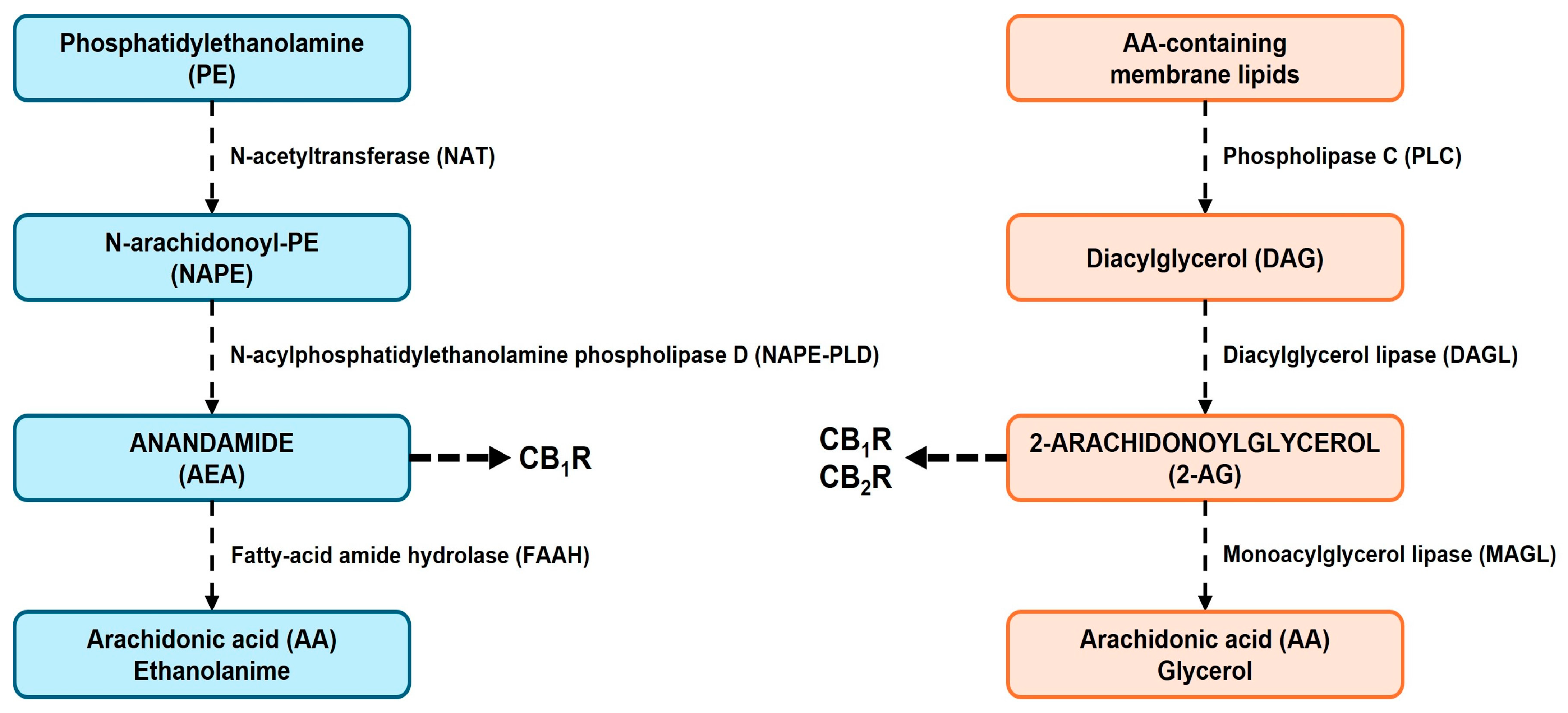Cimb 47 00230 g002 Cimb 47 00230 g002