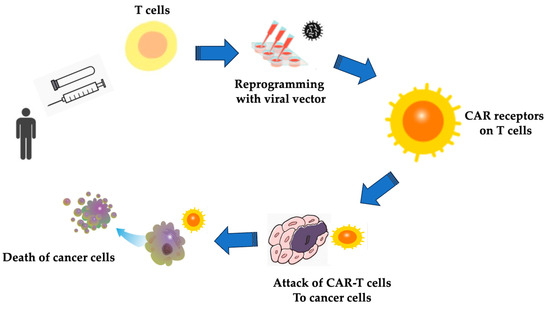 Advances in Gene Therapy with Oncolytic Viruses and CAR-T Cells