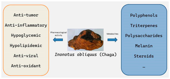 Natural Products and Health Care Functions of Inonotus obliquus