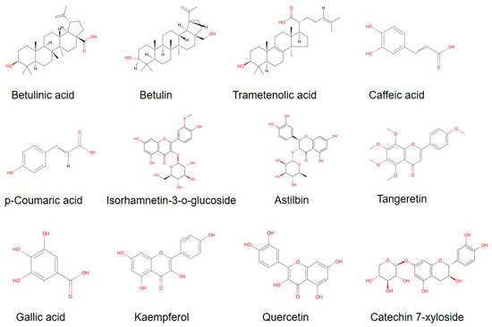 Natural Products and Health Care Functions of Inonotus obliquus