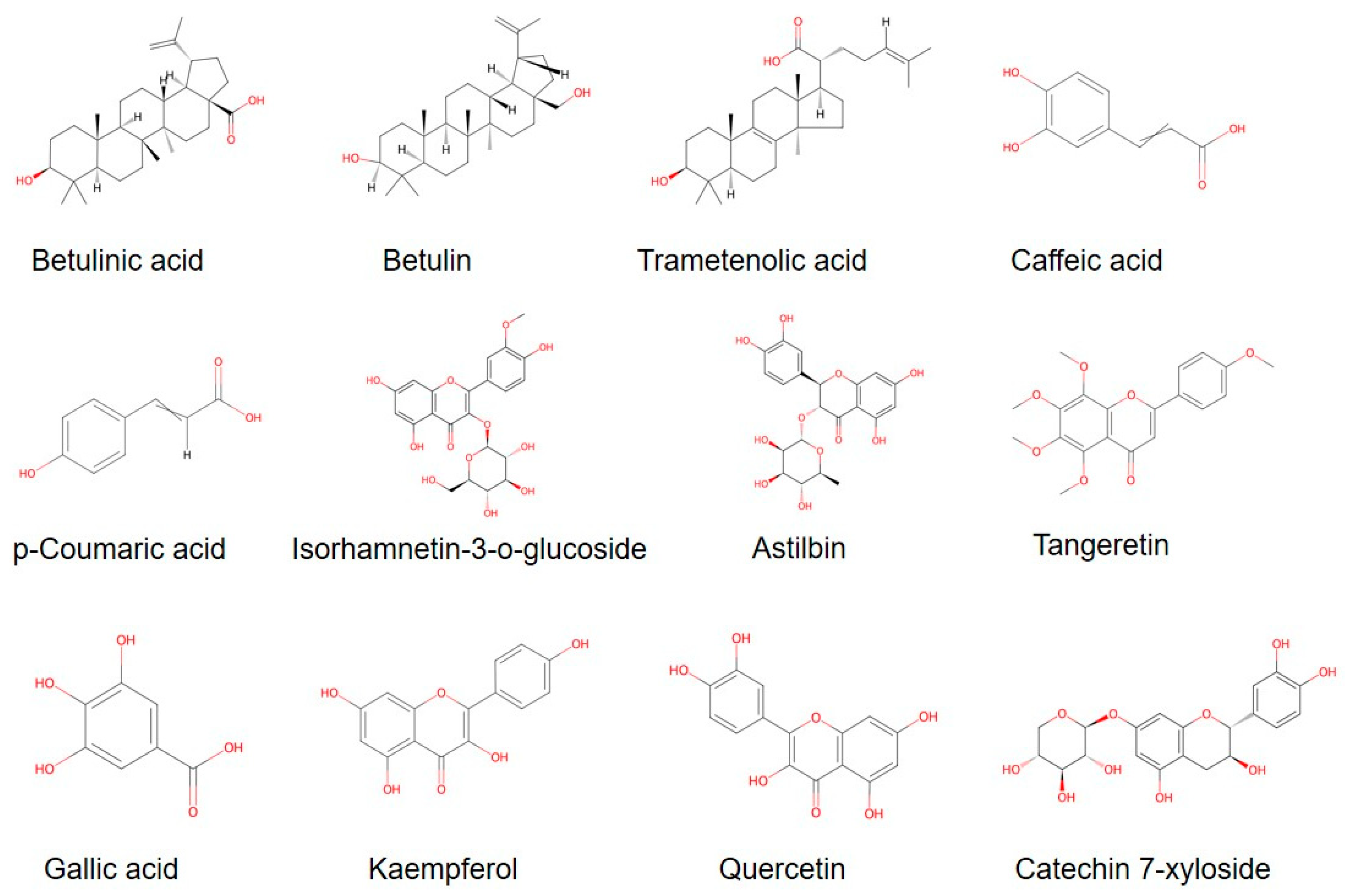 ▼ いの Natural Products and Health Care Functions of Inonotus obliquus