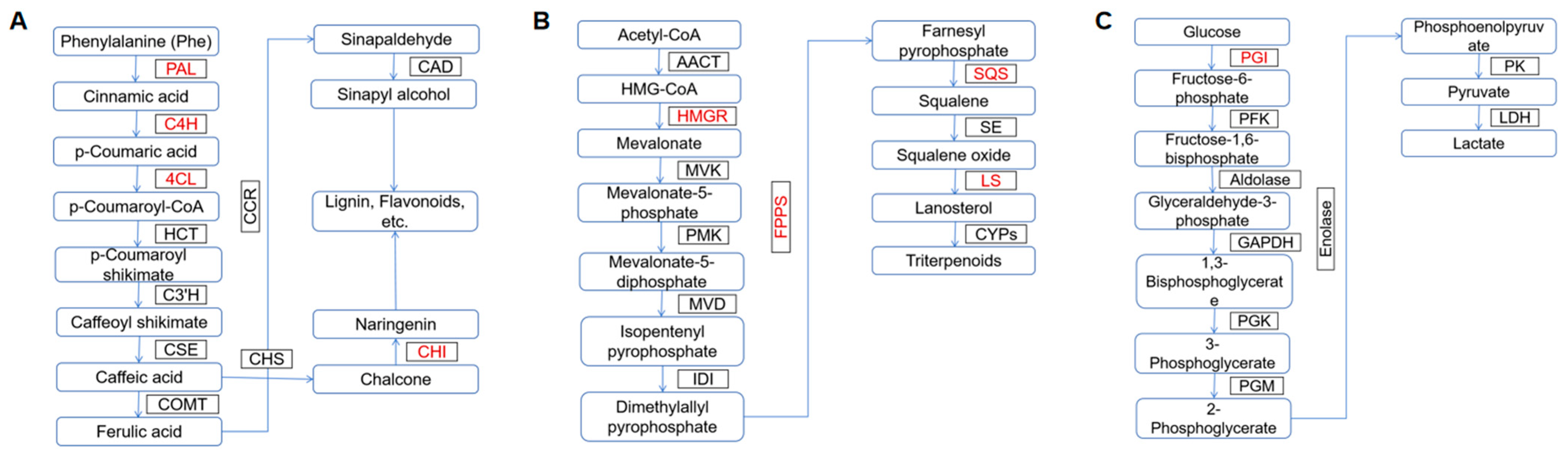 Natural Products and Health Care Functions of Inonotus obliquus