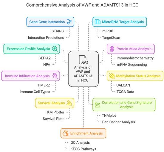 A Comparative Analysis of the Roles of von Willebrand Factor and