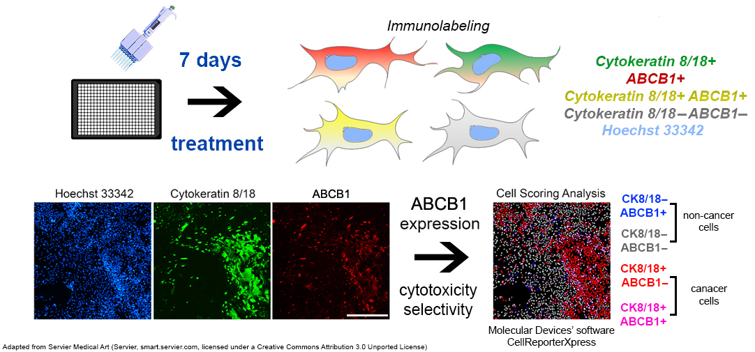 Cimb 47 00281 sch001