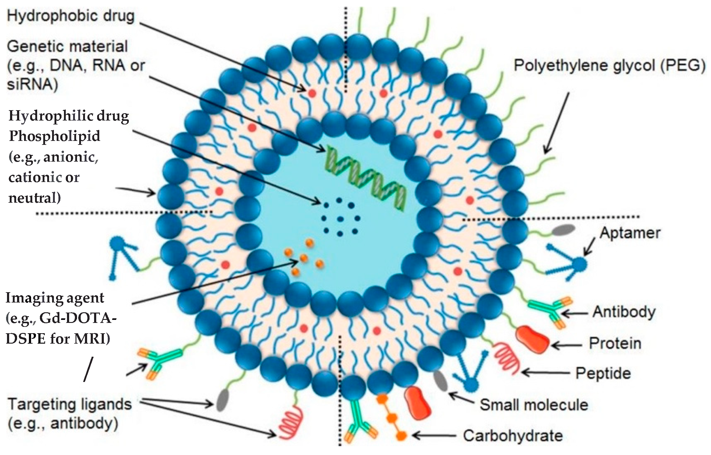 Cimb 47 00295 g002 Cimb 47 00295 g002