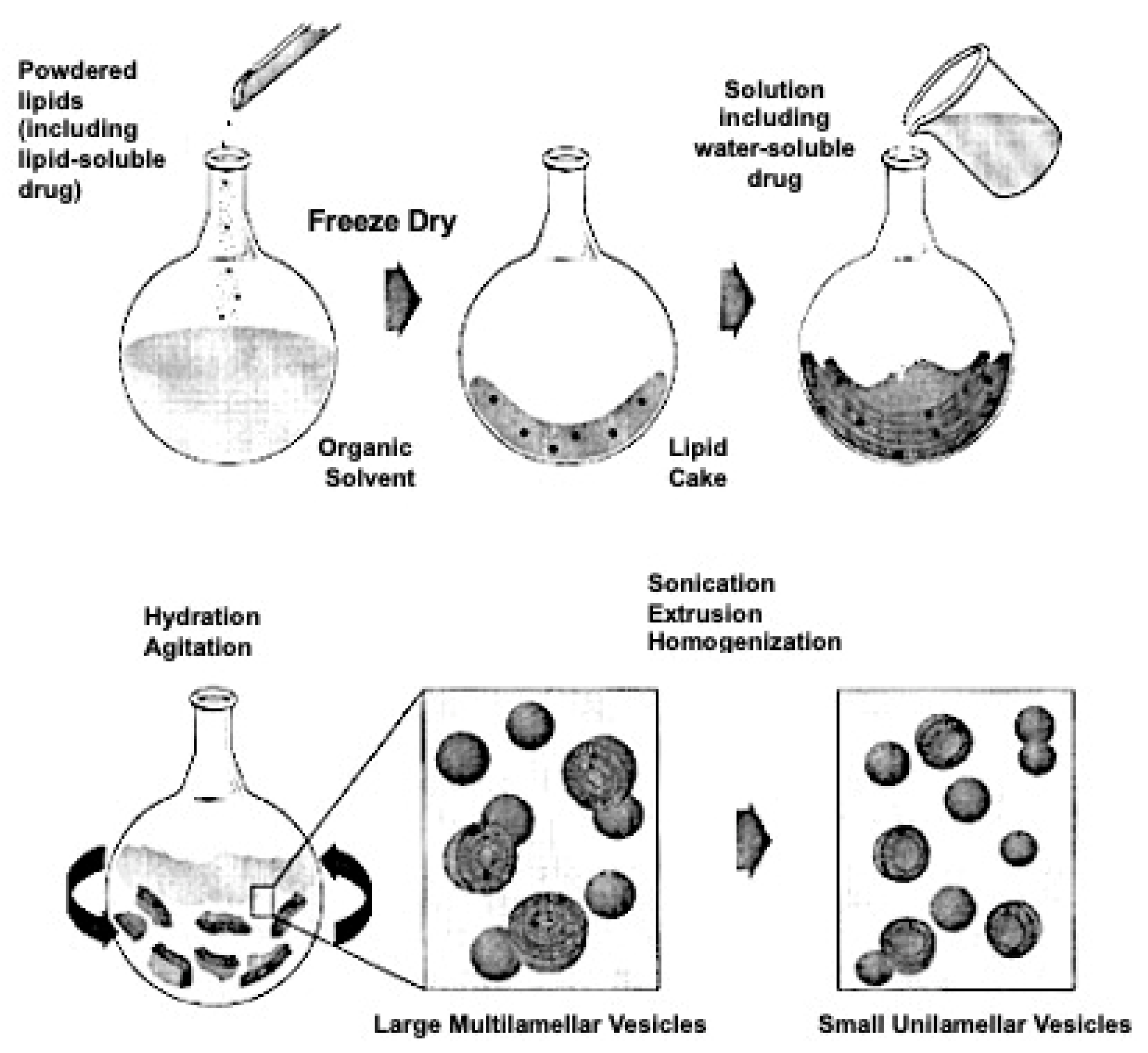 Cimb 47 00295 g003 Cimb 47 00295 g003