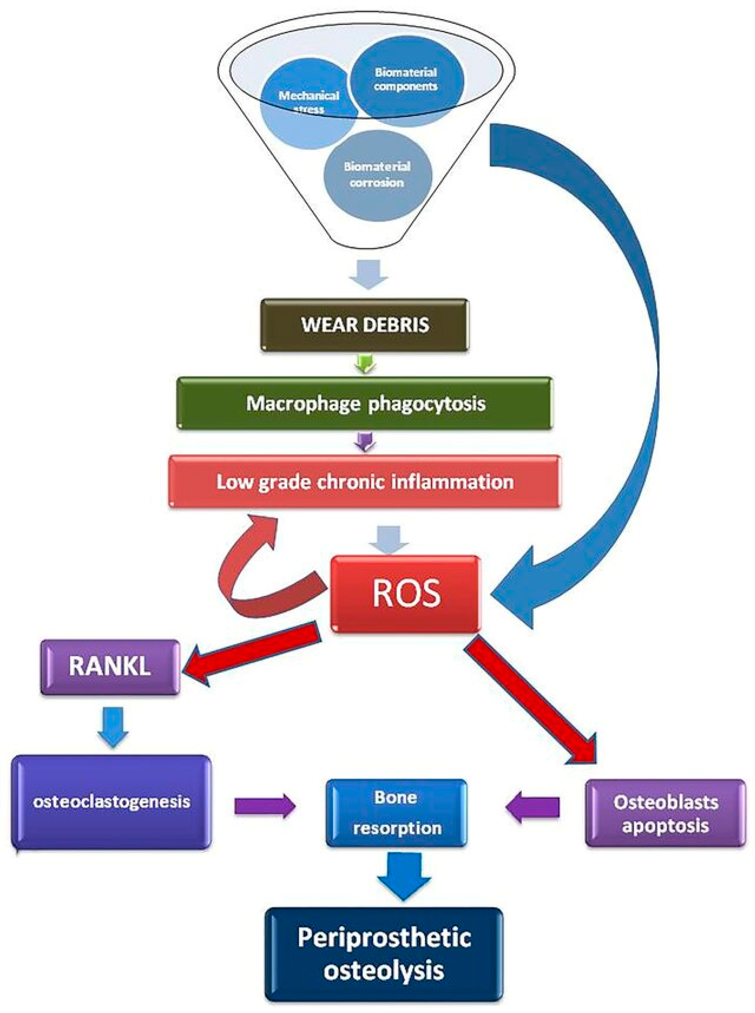 Cimb 47 00295 g004 Cimb 47 00295 g004