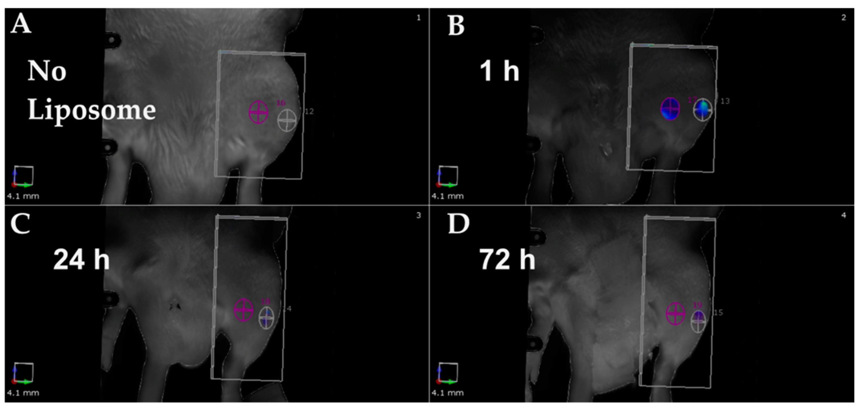 Cimb 47 00295 g005 Cimb 47 00295 g005