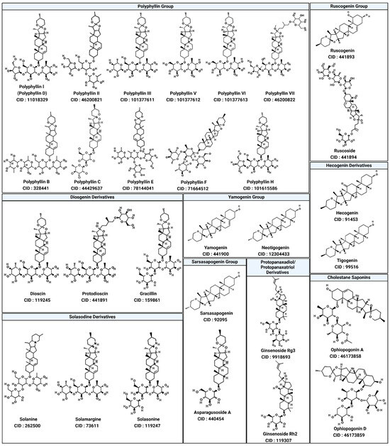 Targeting SHP2 with Natural Products: Exploring Saponin