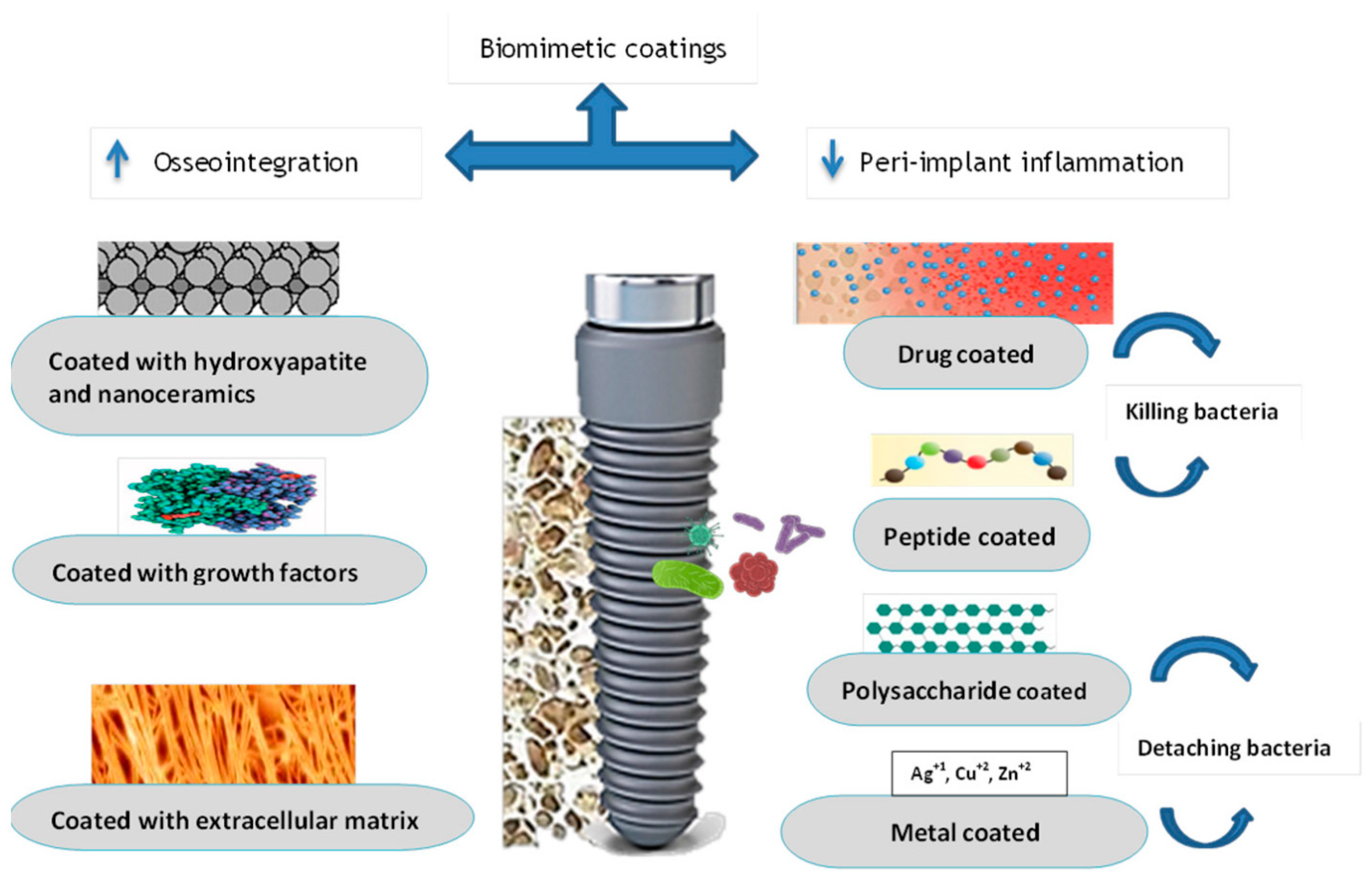 Cimb 47 00317 g003 Cimb 47 00317 g003