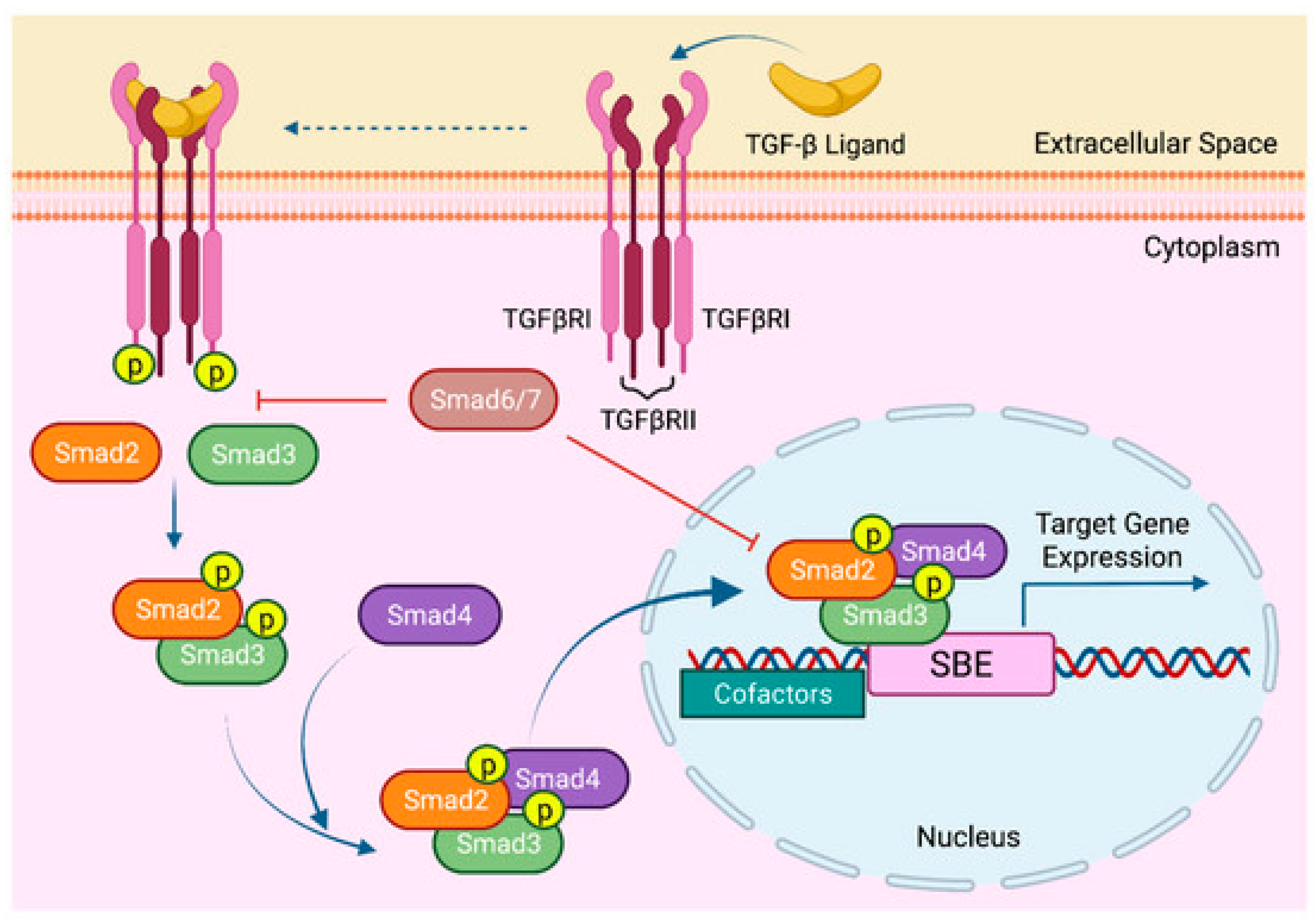 Cimb 47 00360 g001 Cimb 47 00360 g001