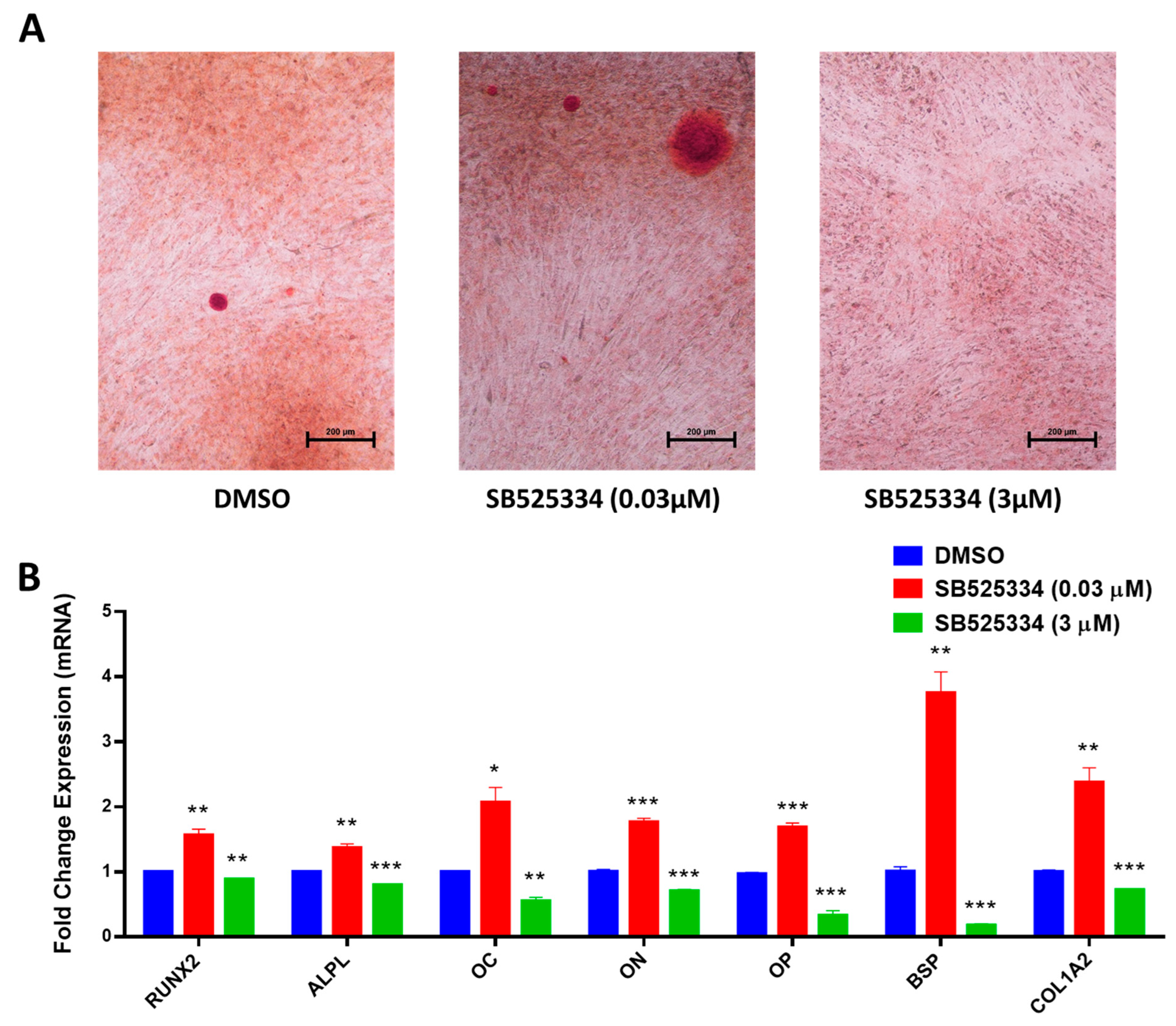Cimb 47 00360 g004 Cimb 47 00360 g004