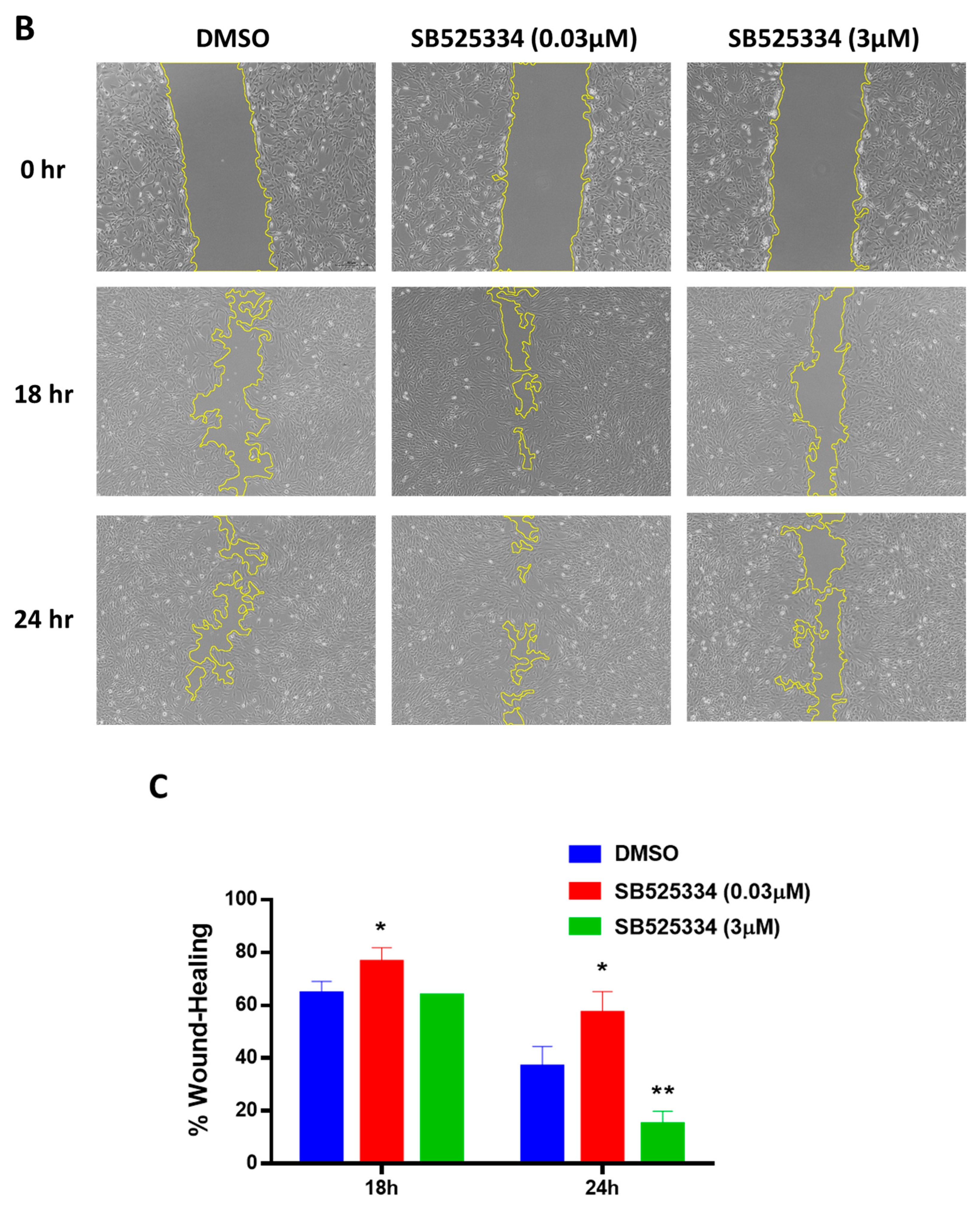 Cimb 47 00360 g005b Cimb 47 00360 g005b