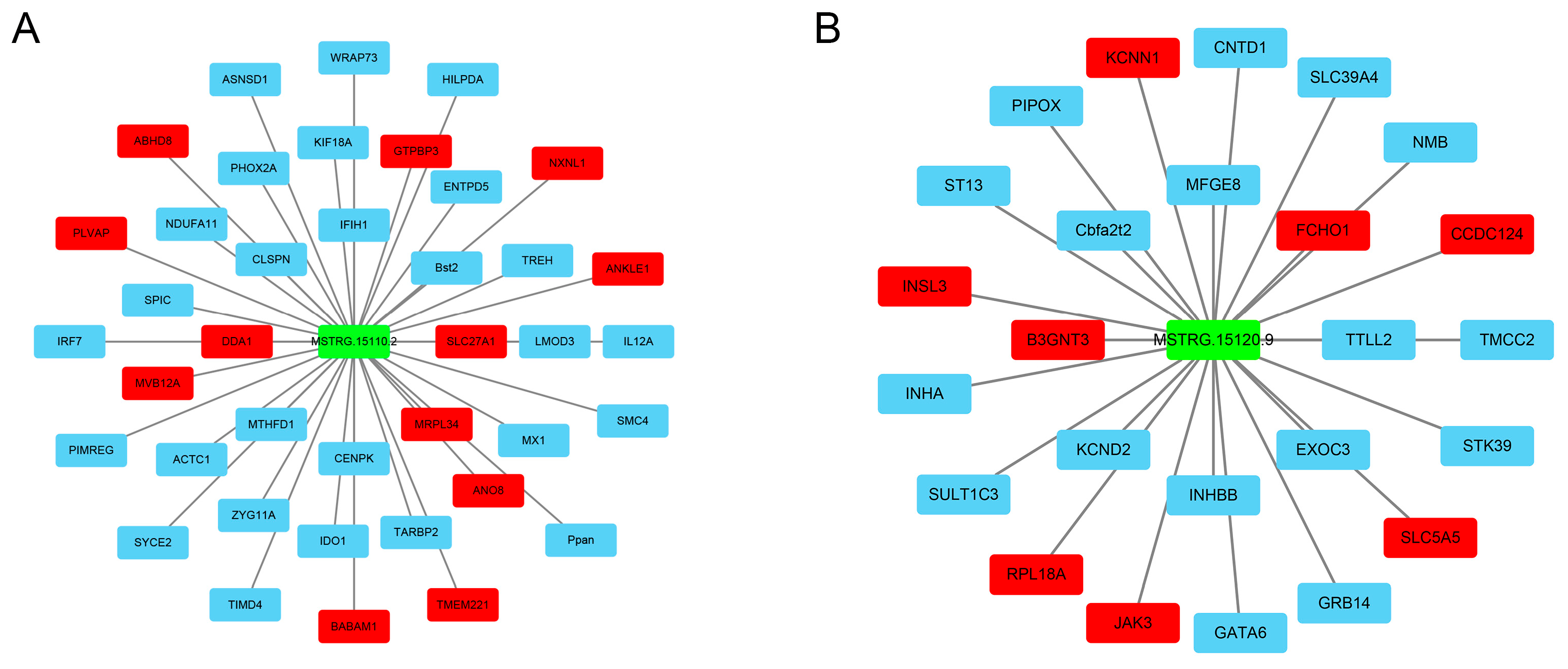 Cimb 47 00395 g004 Cimb 47 00395 g004