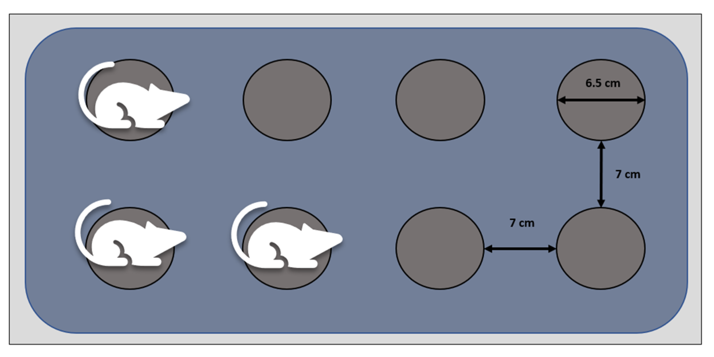 Cimb 47 00399 g002 Cimb 47 00399 g002