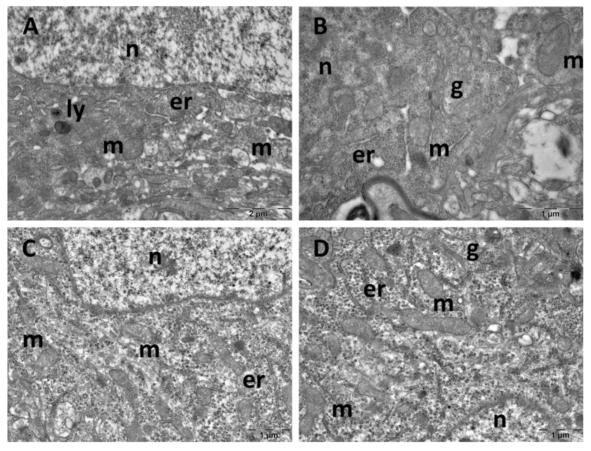 Cimb 47 00399 g009 Cimb 47 00399 g009
