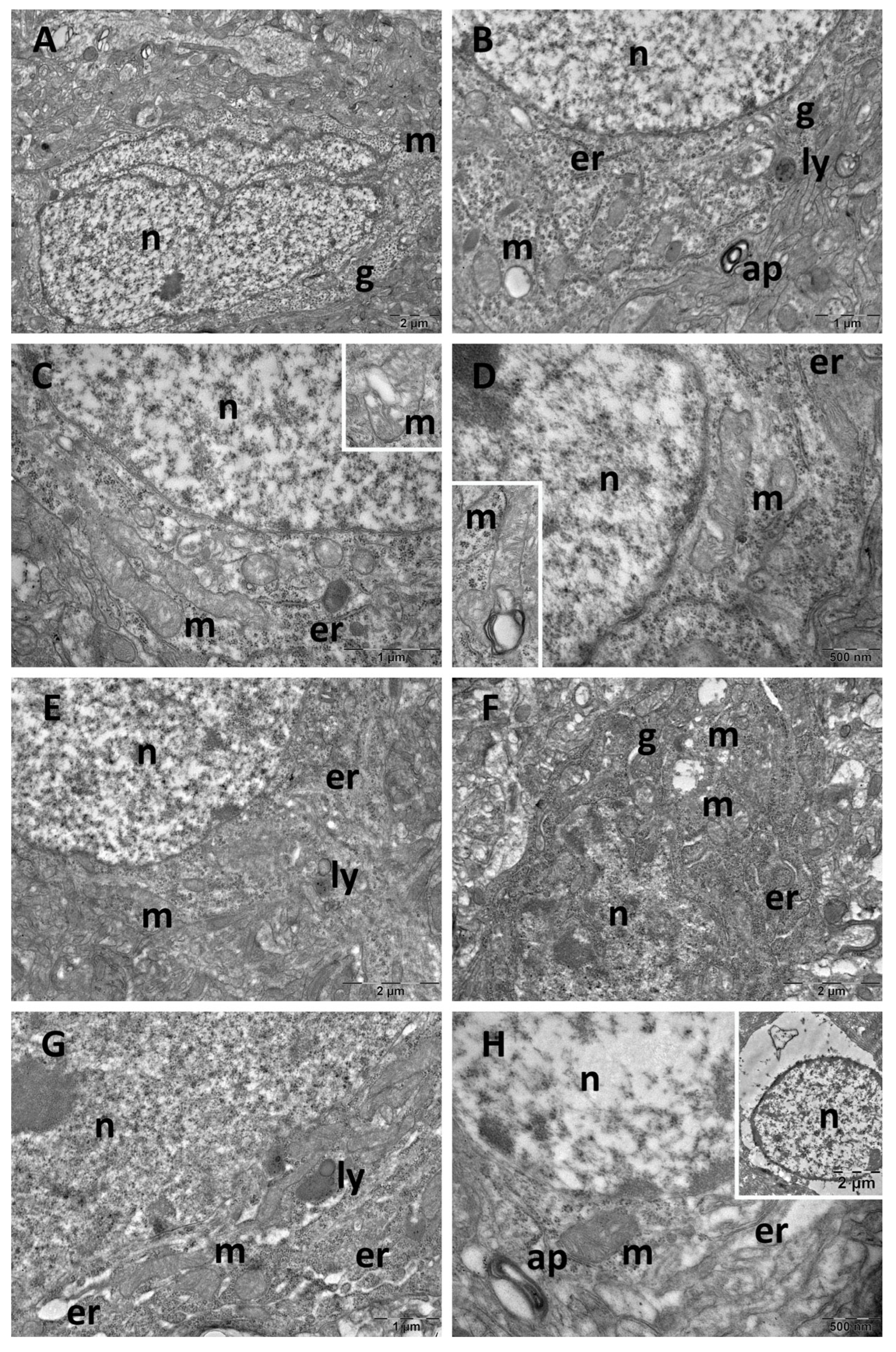 Cimb 47 00399 g010 Cimb 47 00399 g010