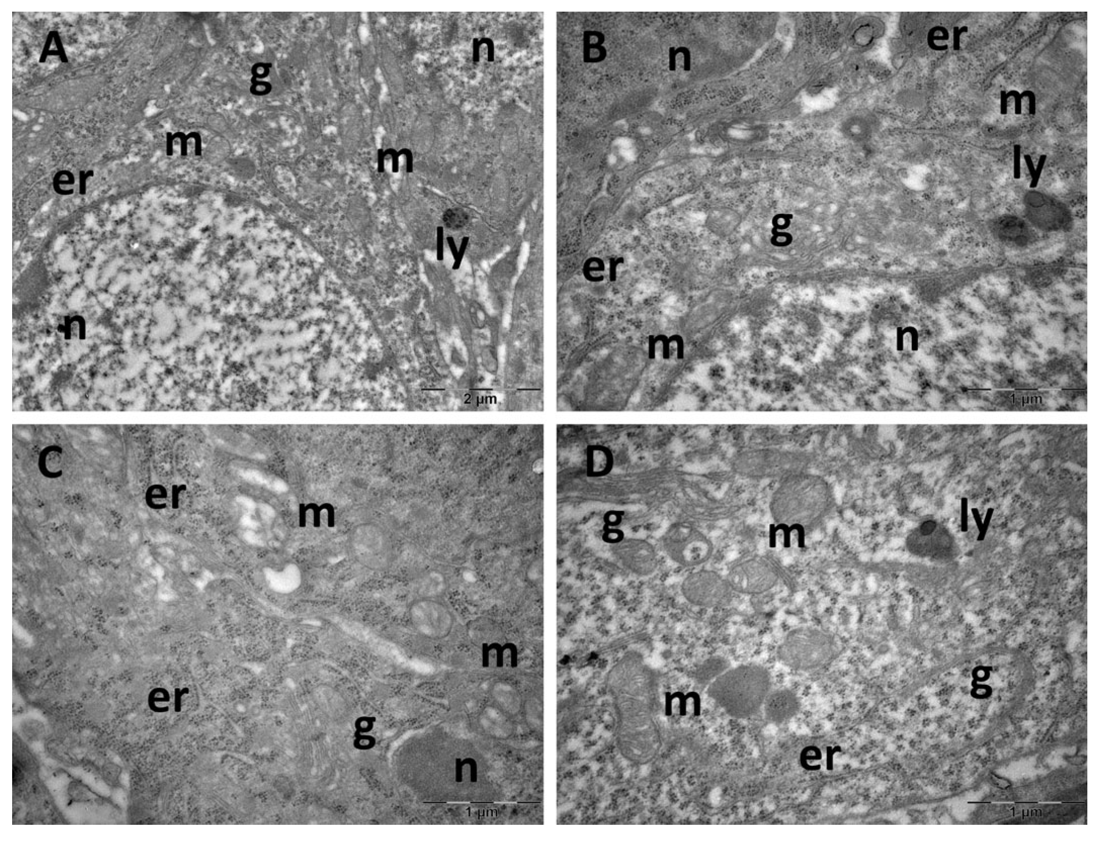 Cimb 47 00399 g011 Cimb 47 00399 g011