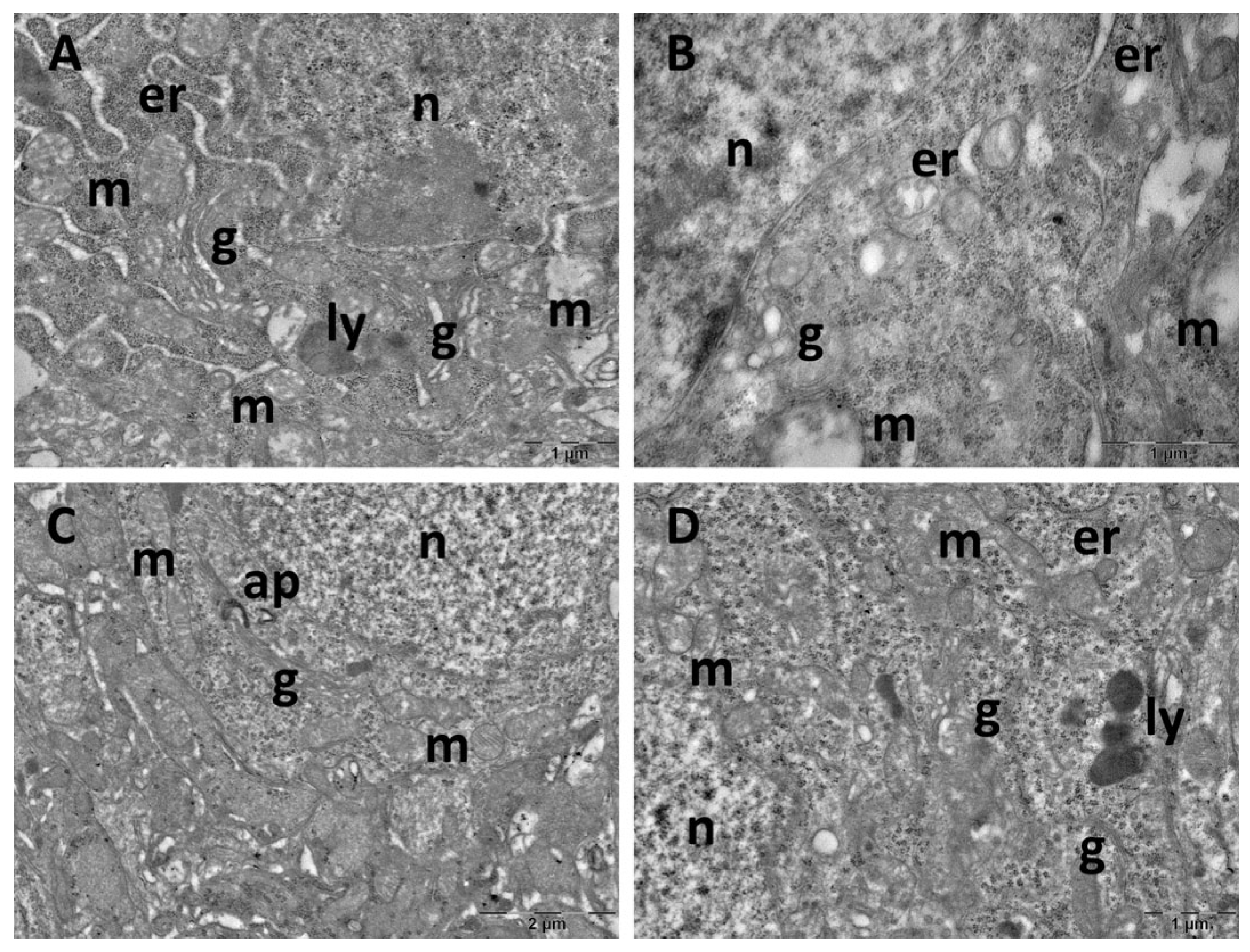 Cimb 47 00399 g012 Cimb 47 00399 g012
