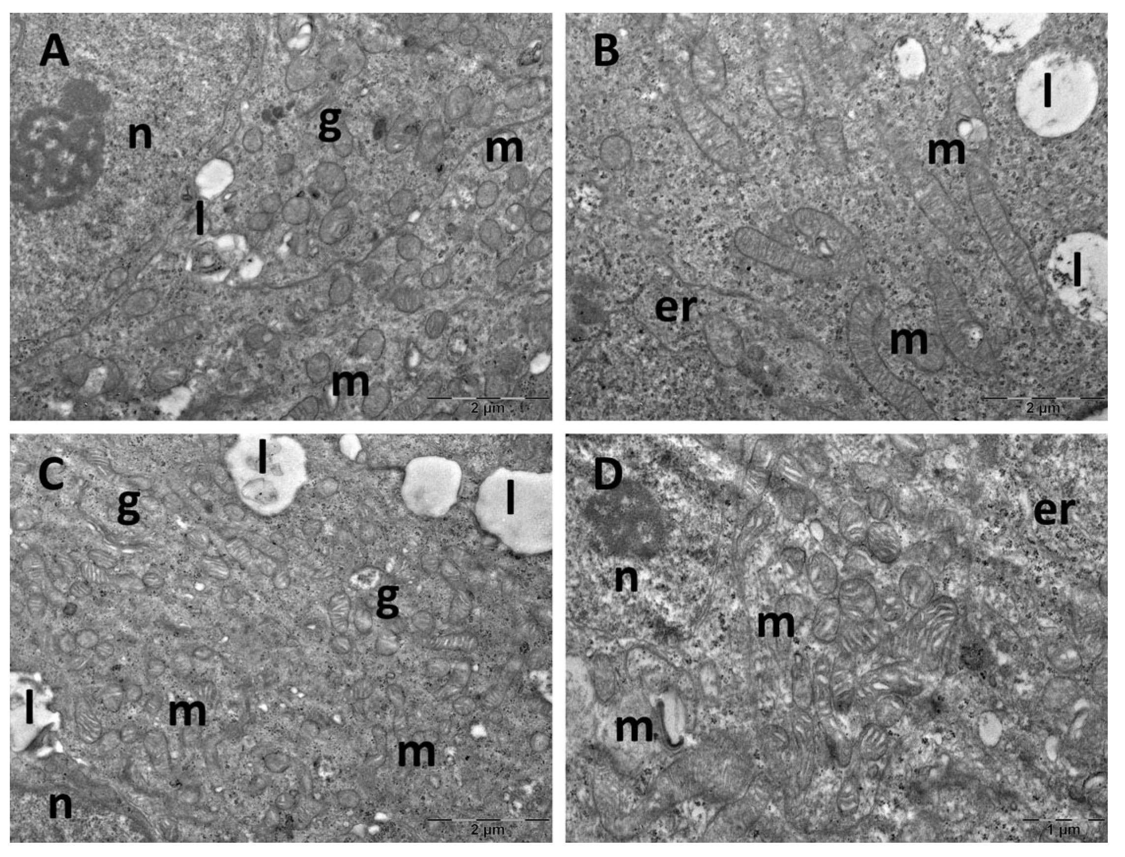 Cimb 47 00399 g013 Cimb 47 00399 g013