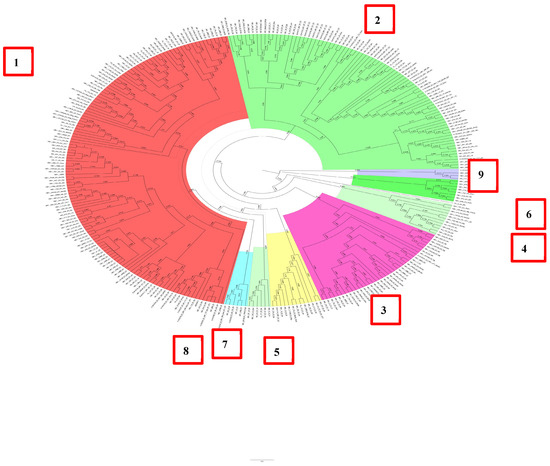 Hepatitis B Virus Genotypes and Subgenotypes Circulating in Belarus