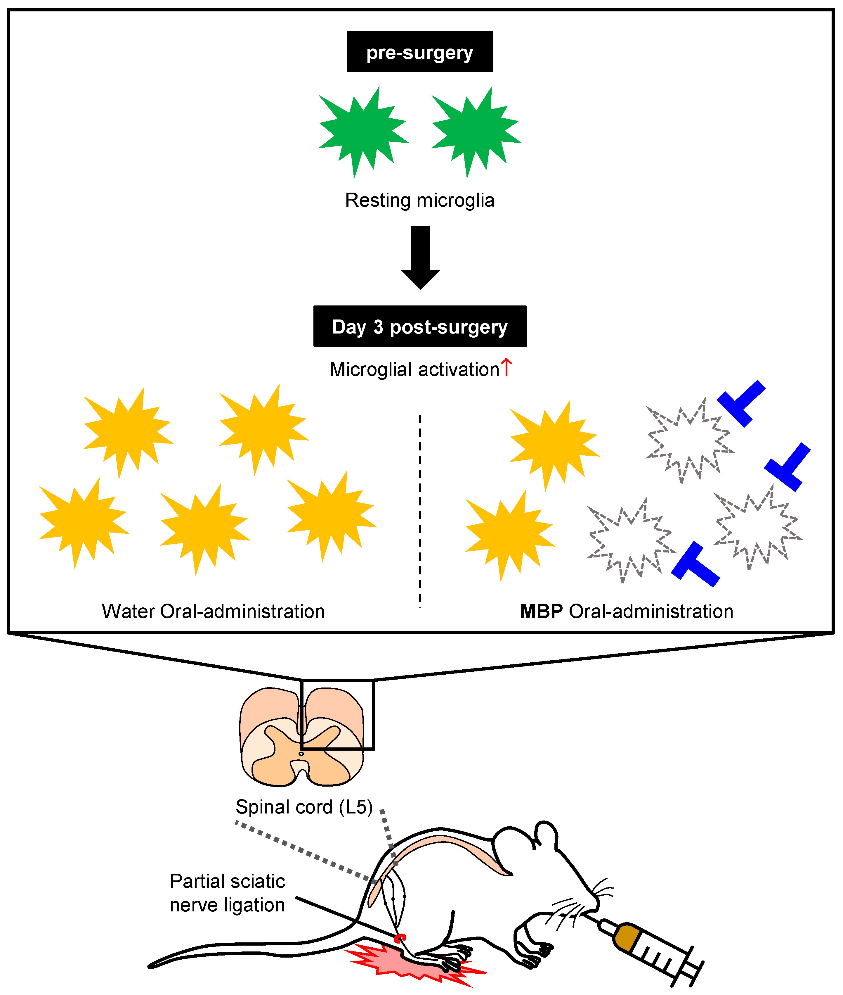 Cimb 47 00453 g006 Cimb 47 00453 g006