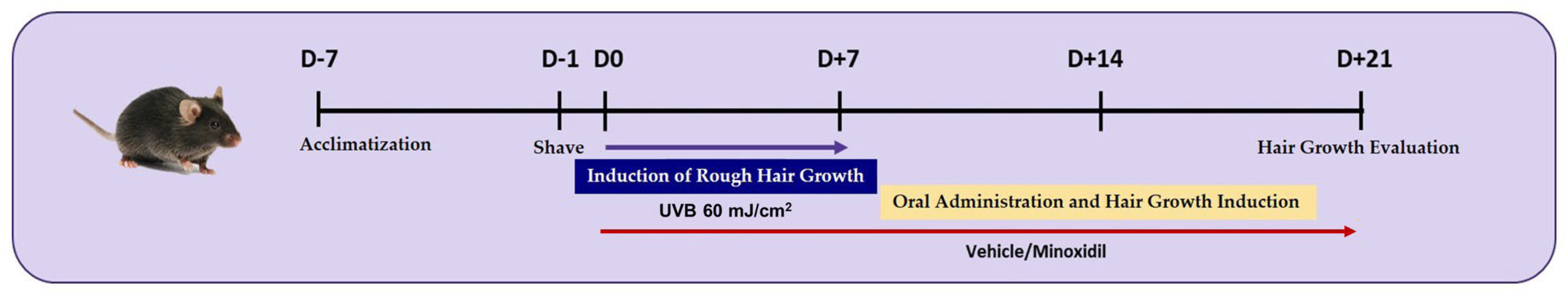 Cimb 47 00468 g001 Cimb 47 00468 g001