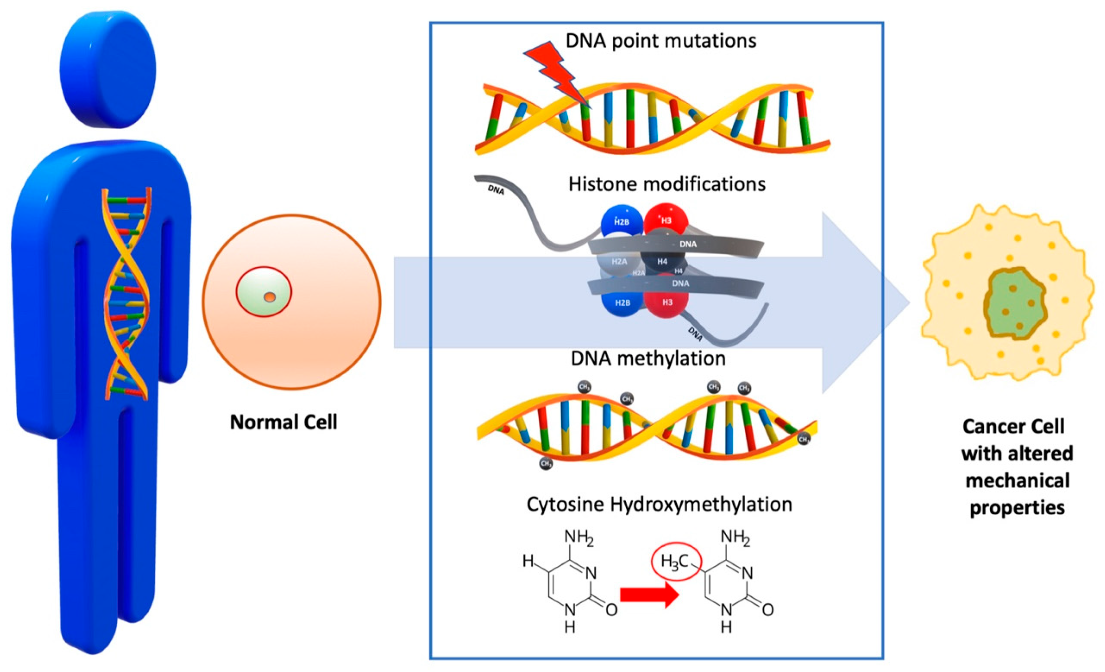 Cimb 47 00477 g002 Cimb 47 00477 g002