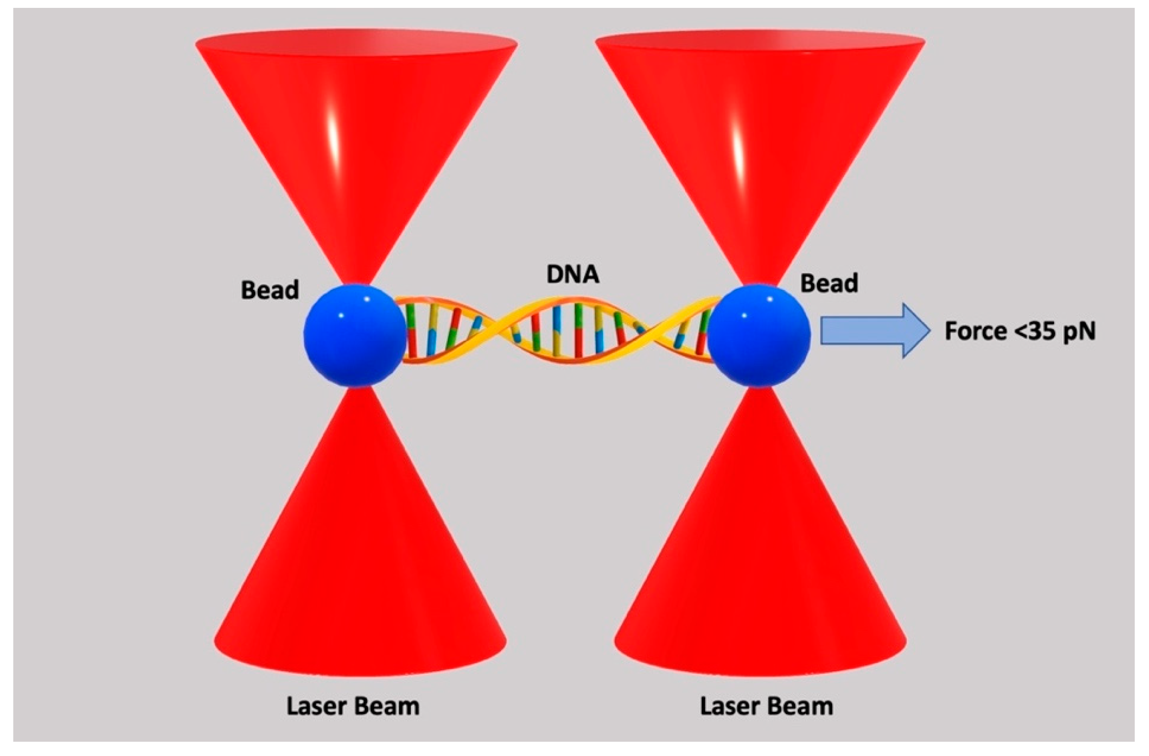 Cimb 47 00477 g003 Cimb 47 00477 g003