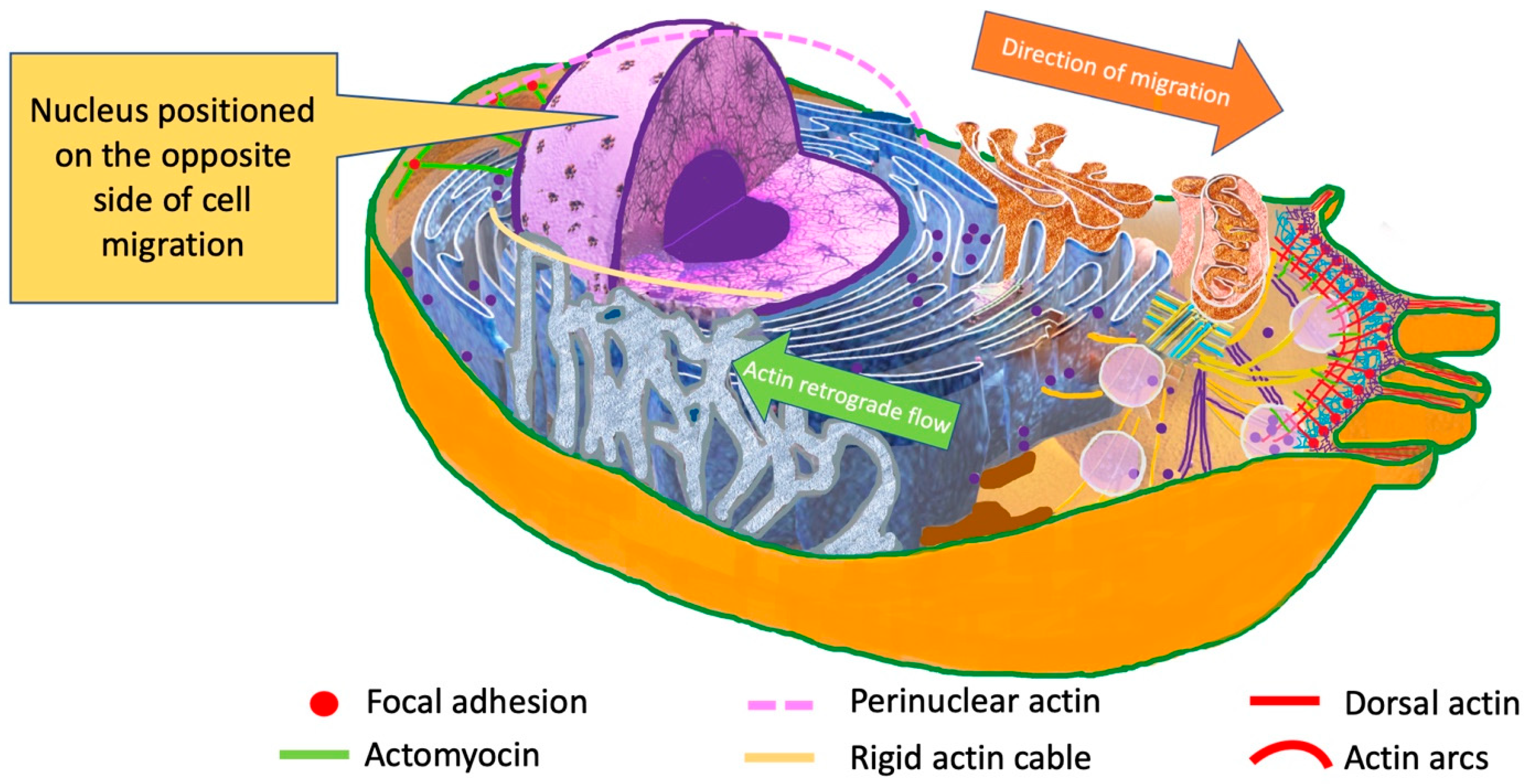 Cimb 47 00477 g004 Cimb 47 00477 g004