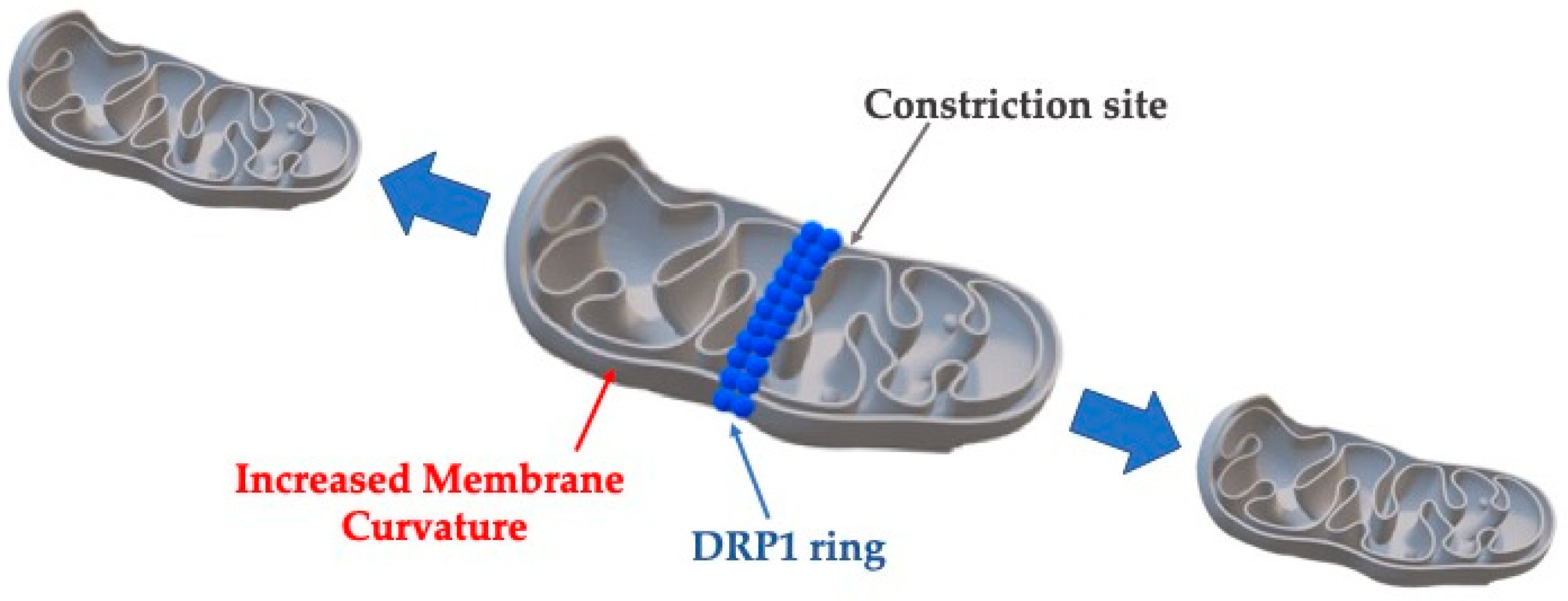 Cimb 47 00477 g005 Cimb 47 00477 g005
