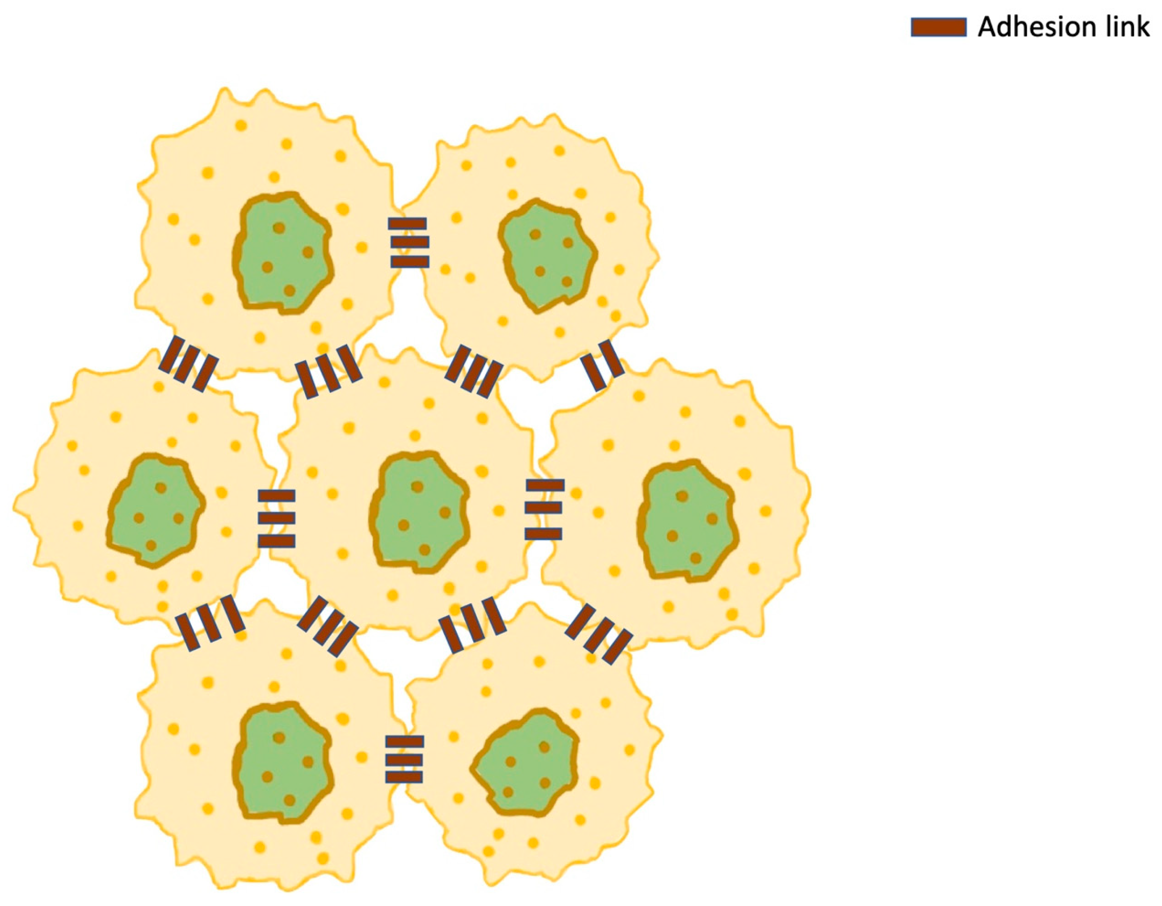 Cimb 47 00477 g008 Cimb 47 00477 g008