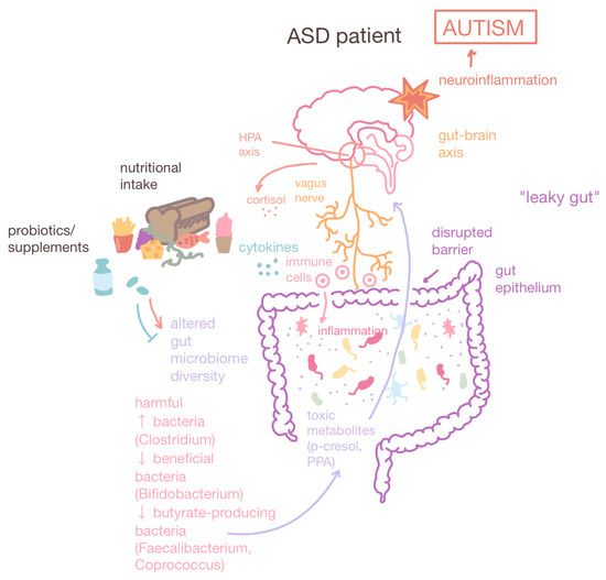 Emerging Epigenetic Therapeutics and Diagnostics for Autism Spectrum  Disorder